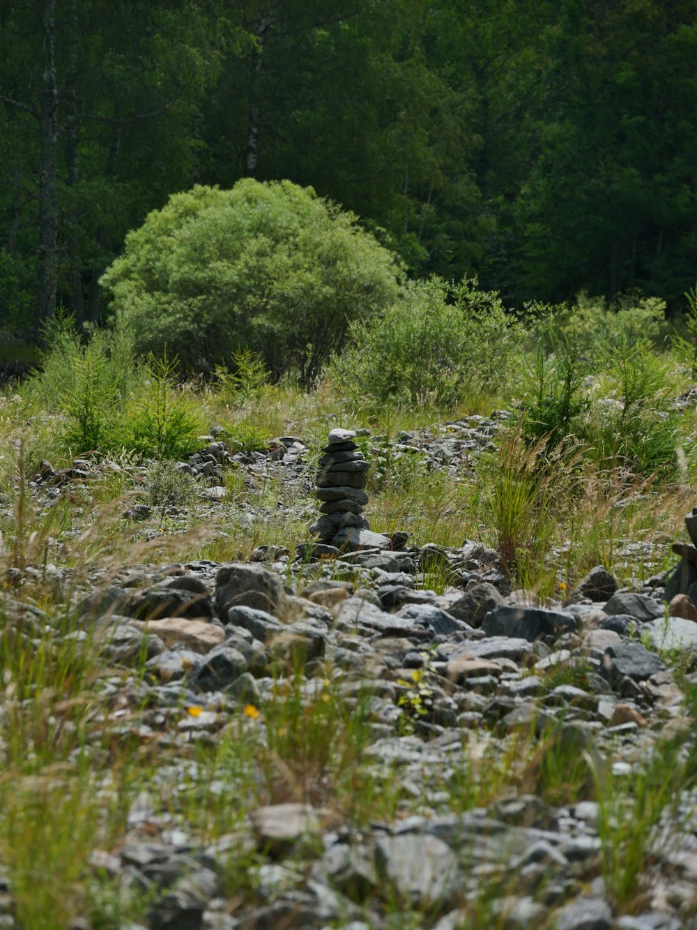 gray rocks on green grass field during daytime