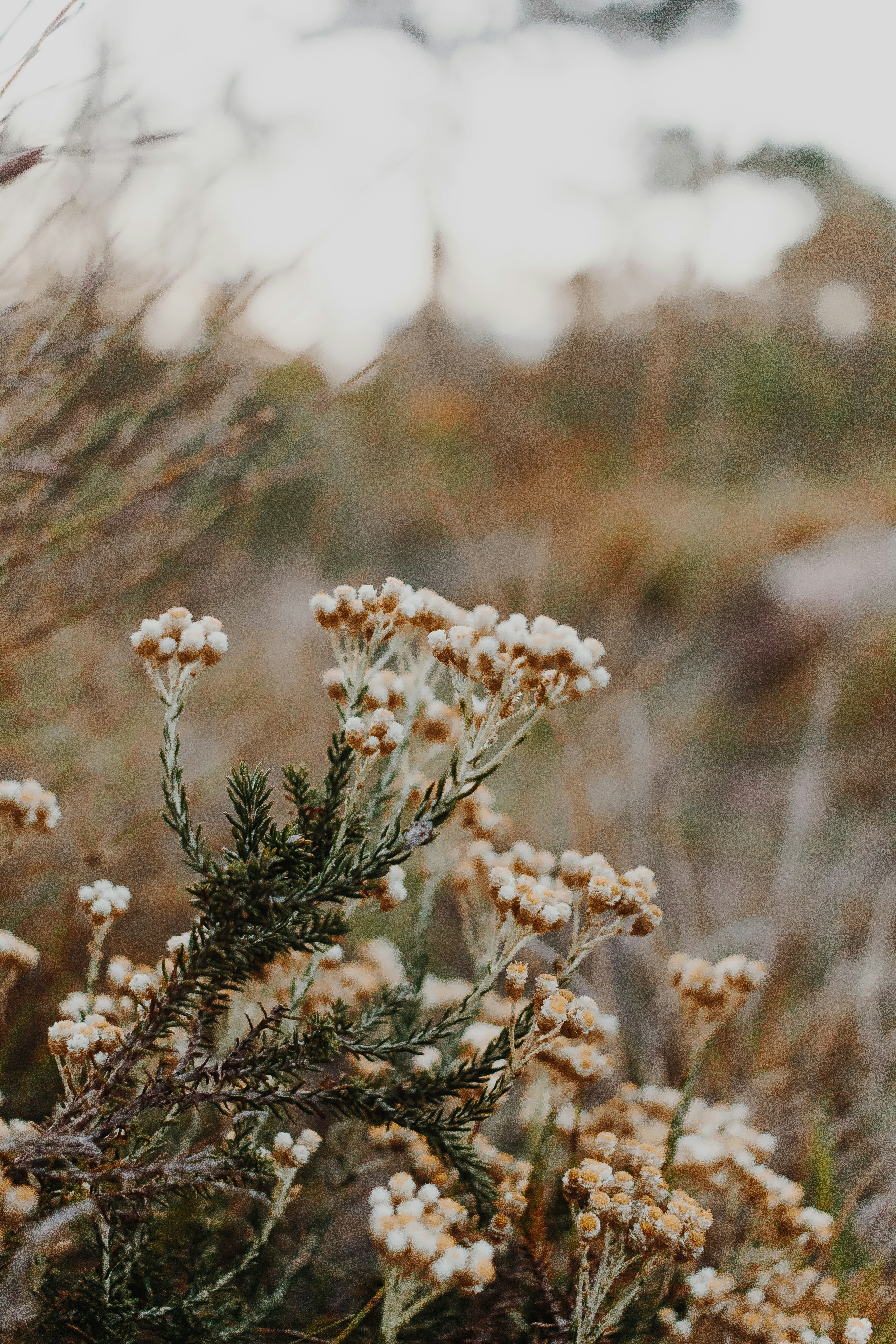 Photo by sincerelymedia