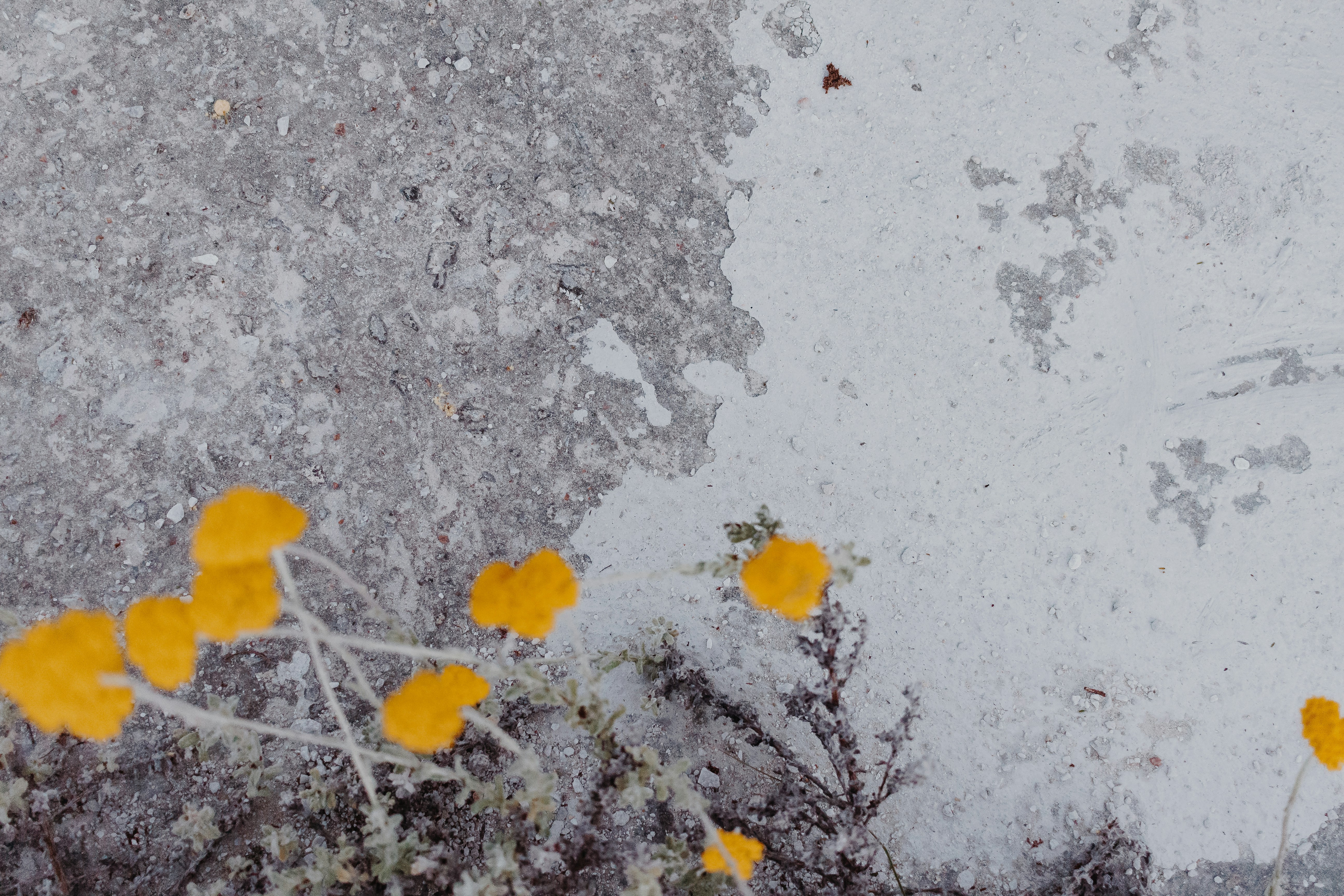 Photo by sincerelymedia