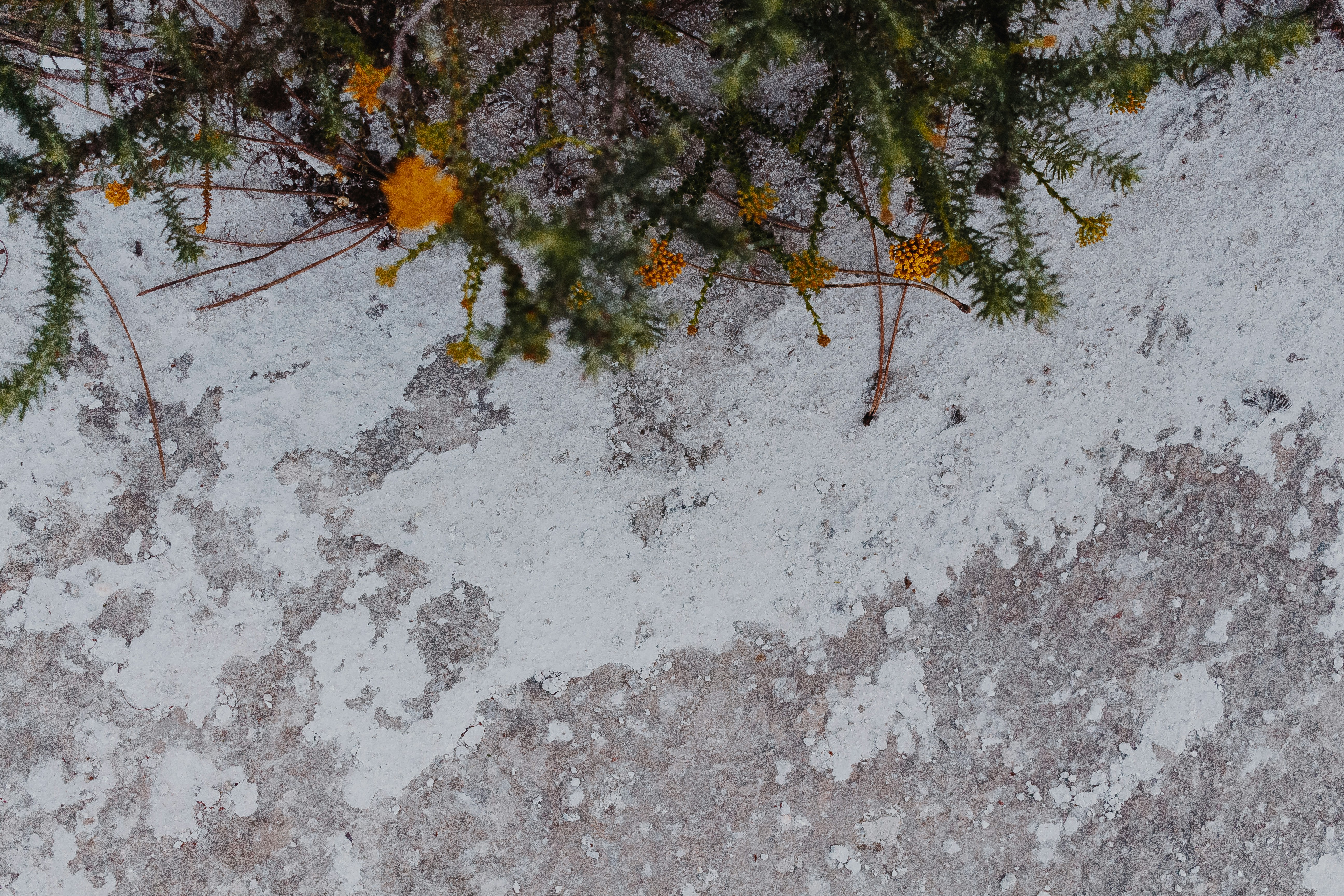 Photo by sincerelymedia