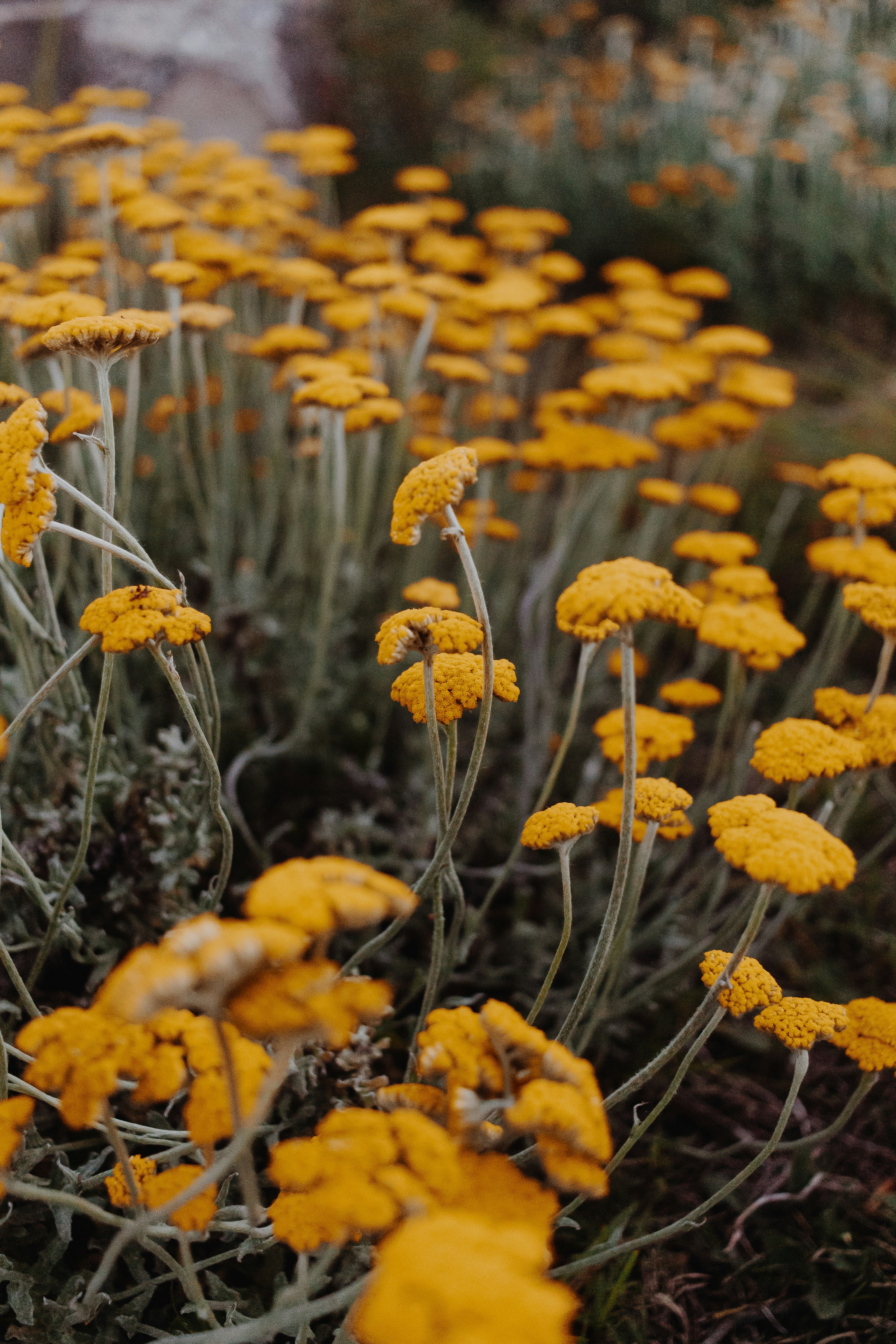 Photo by sincerelymedia