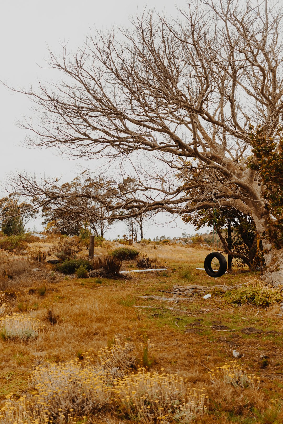 black car tire on brown grass field during daytime