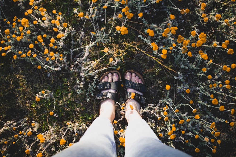 pessoa em jeans azuis e sandálias de caminhada pretas em pé em folhas amarelas