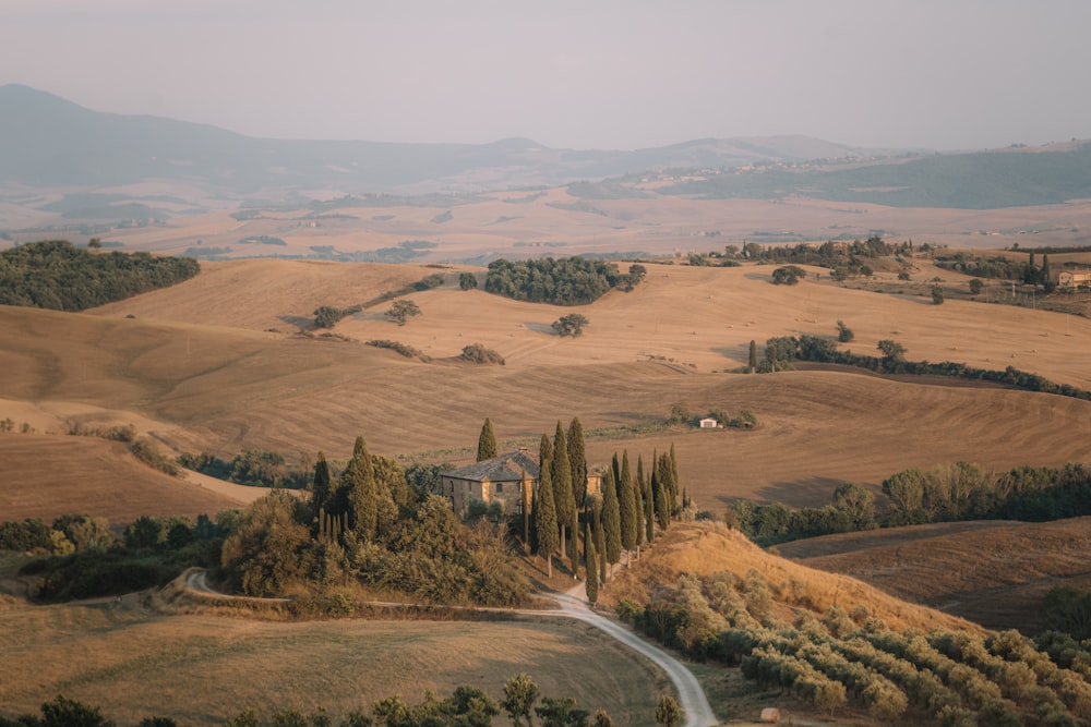 Veduta aerea di alberi verdi e campo marrone durante il giorno