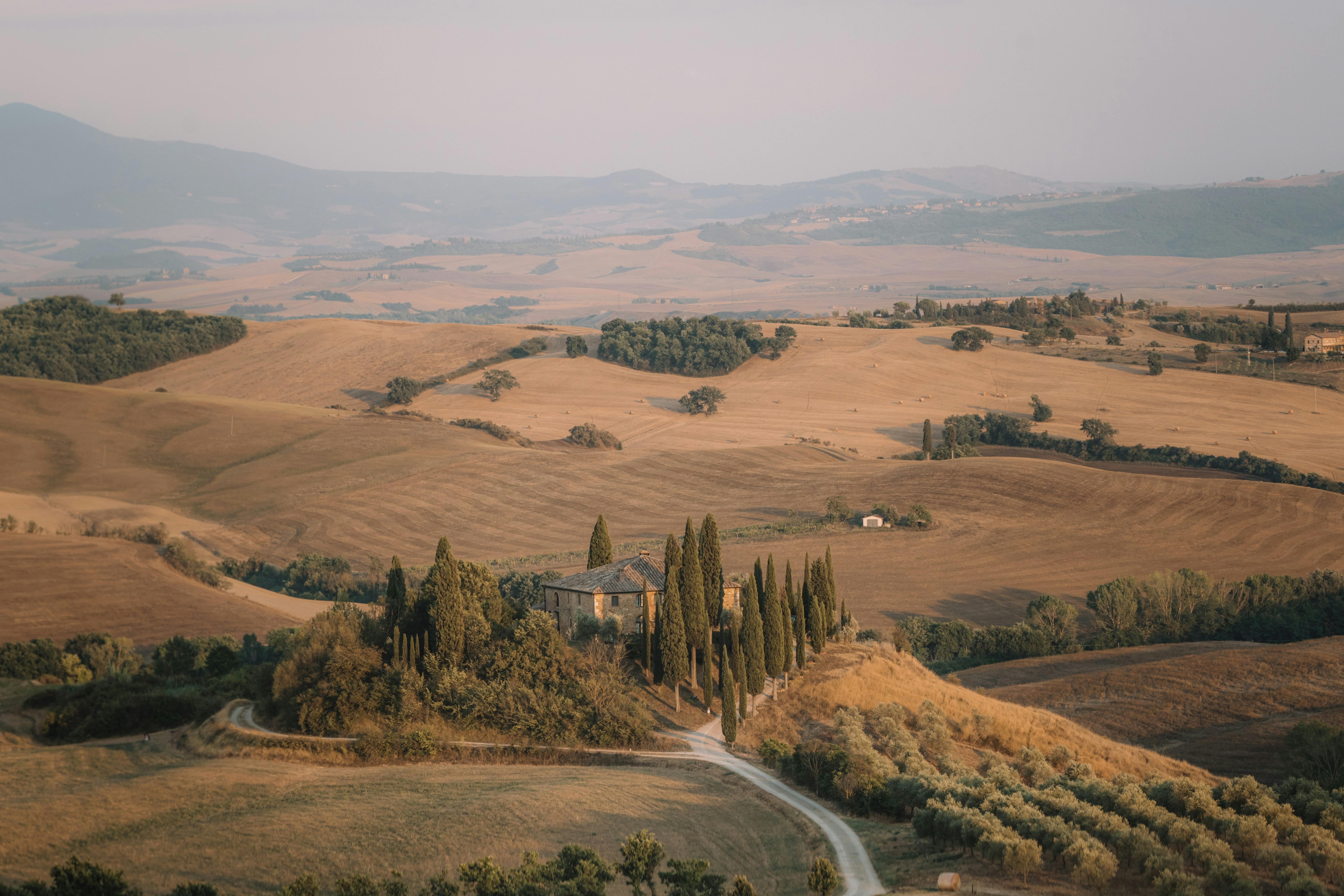 Algoritmi e tradizione: cinque startup toscane che reinventano manifattura e turismo con l'intelligenza artificiale