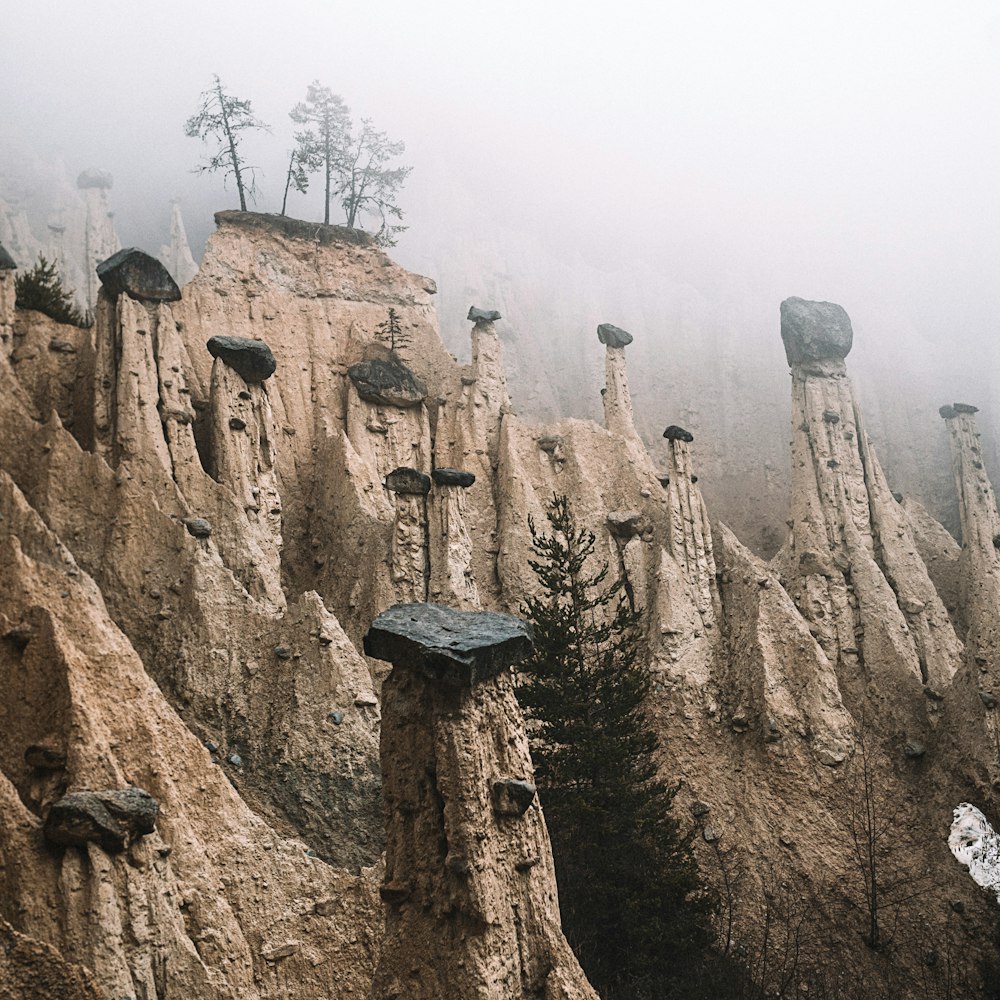 gray rock formation during daytime