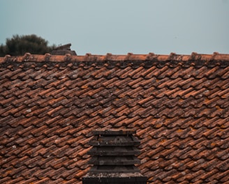 brown roof tiles in close up photography