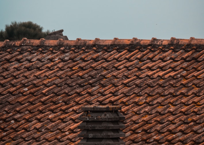 brown roof tiles in close up photography