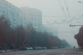 A city street is enveloped in thick fog, obscuring the details of several high-rise apartment buildings in the background. Bare trees line the wide road, which is populated with parked cars on both sides. Overhead, power lines crisscross the sky. The scene is dimly lit, with a traffic light displaying red.