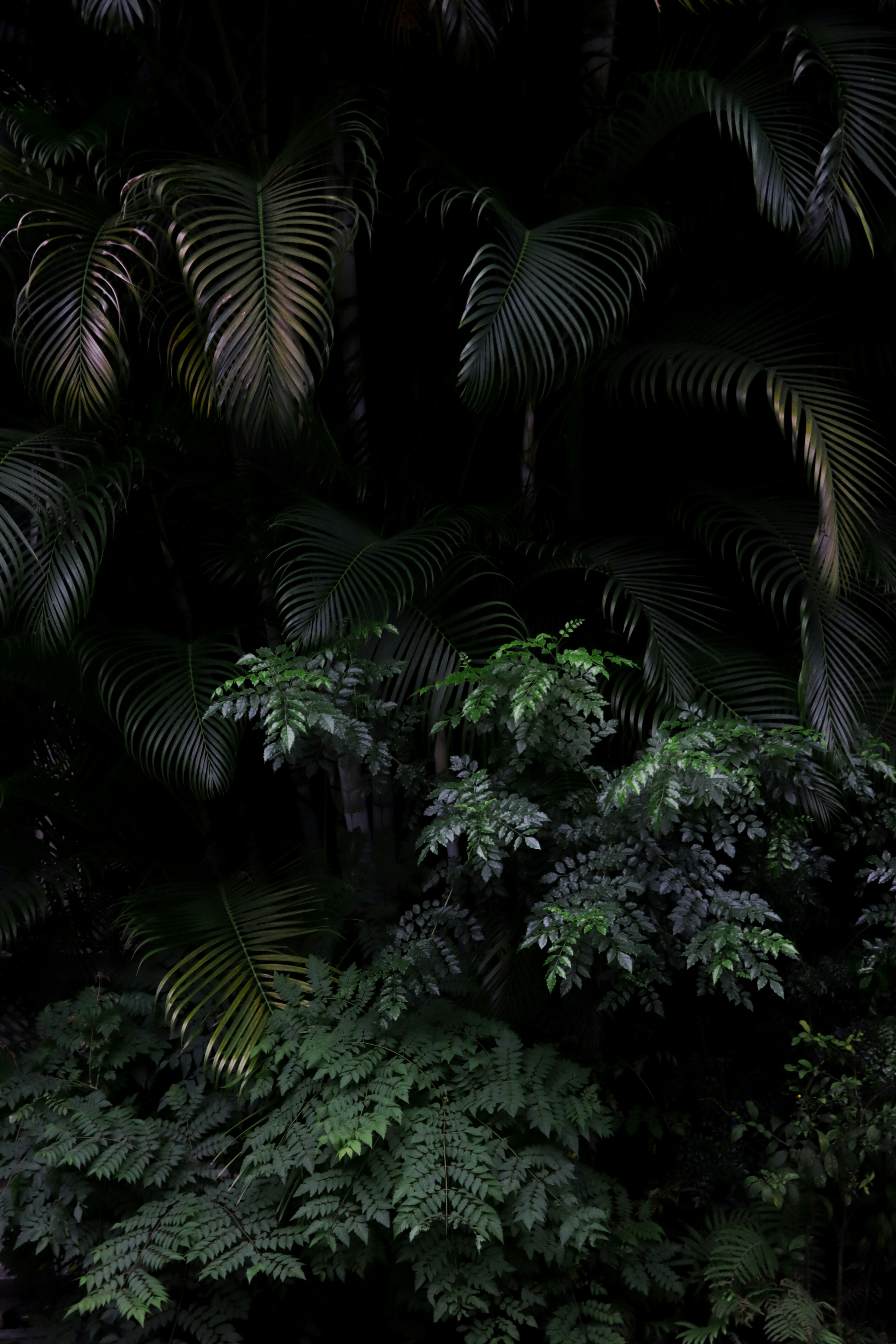 Photo by benjamin_1017