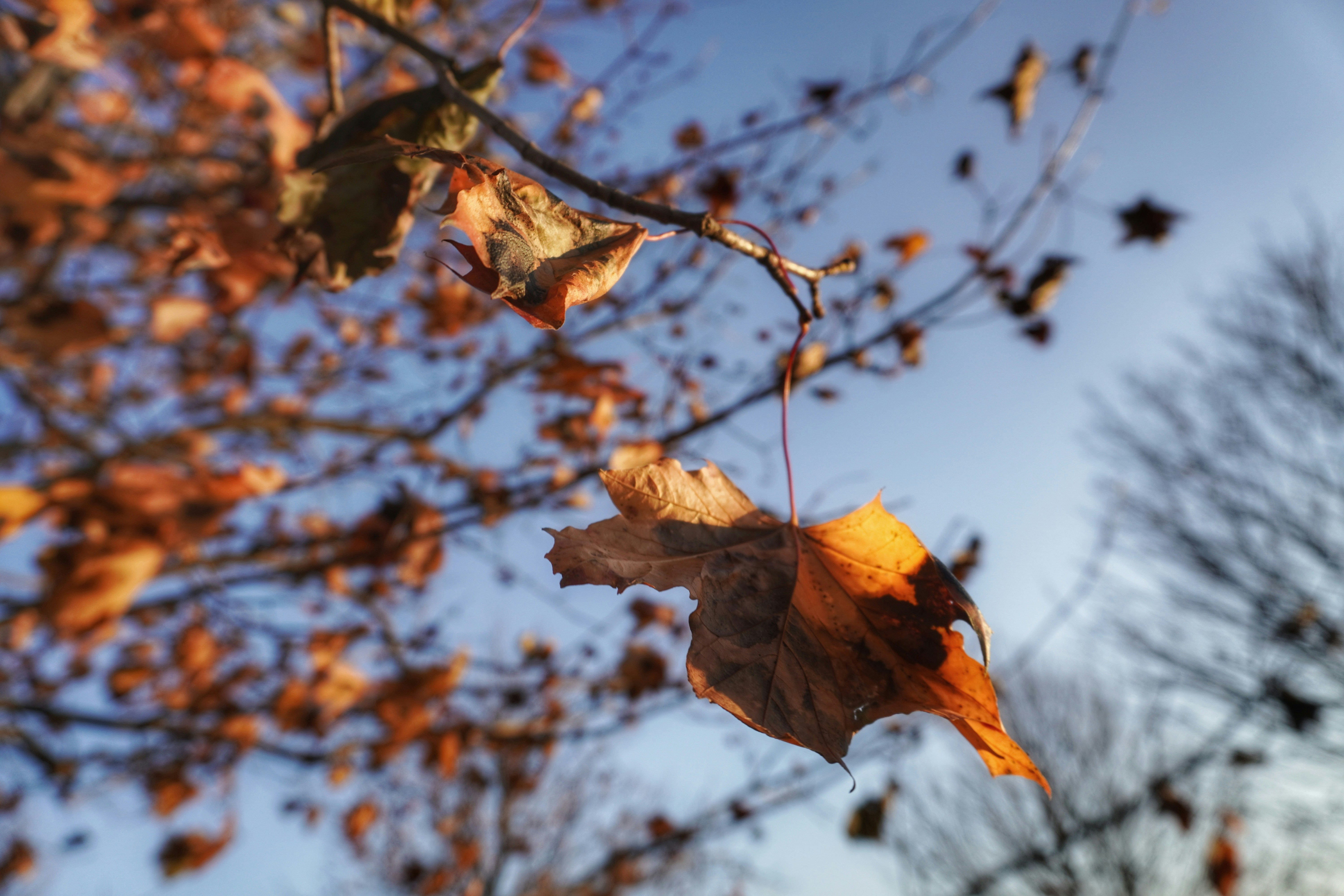 Photo by meri_vasilevski