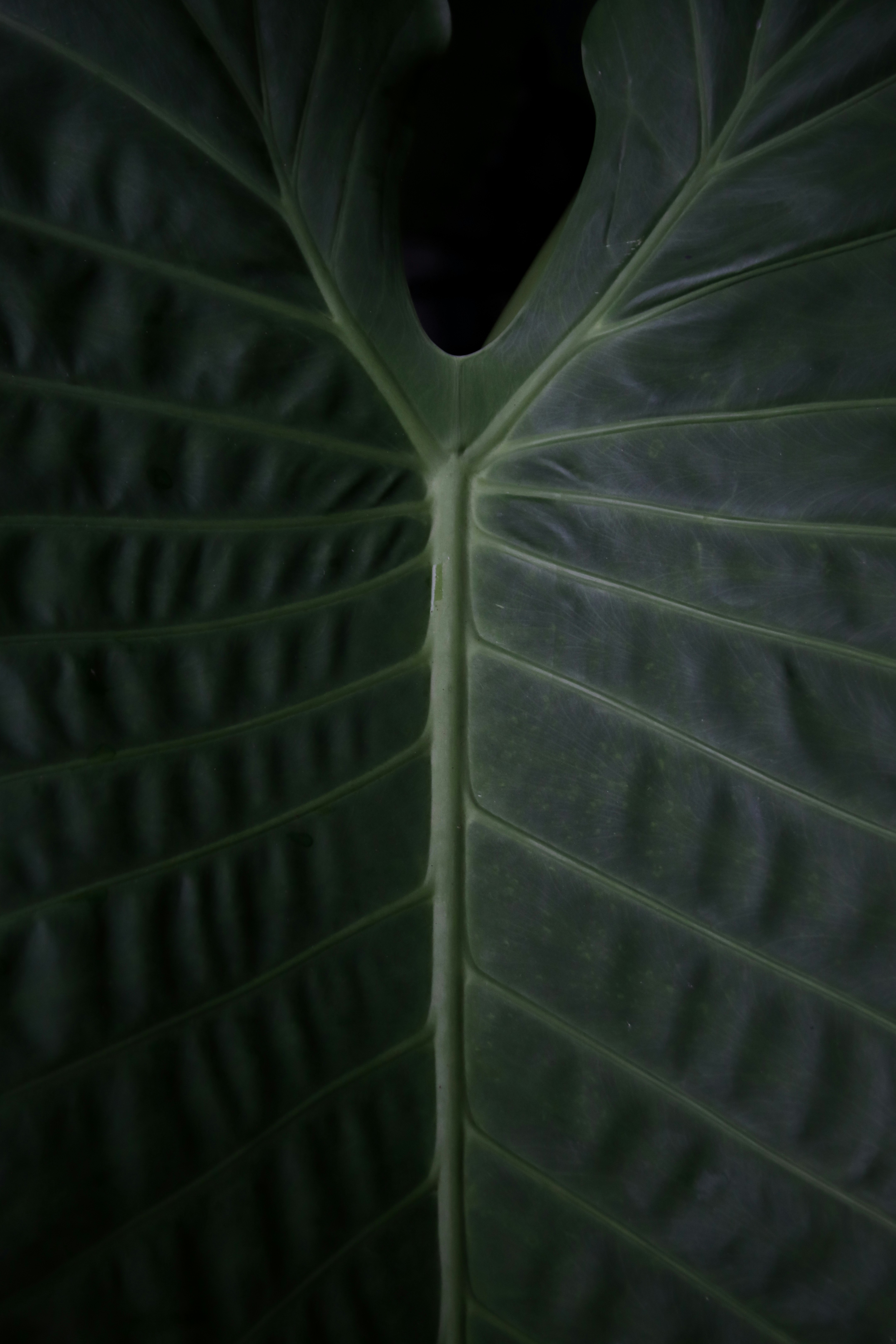 Photo by benjamin_1017