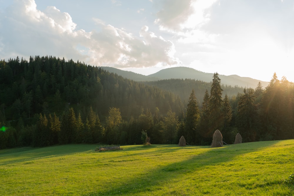 Grünes Grasfeld mit Bäumen unter weißen Wolken und blauem Himmel tagsüber