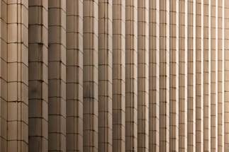 Rows of vertically aligned rectangular panels create a repetitive, symmetrical pattern. The panels are made of a beige or light brown material and seem to form part of a large architectural facade.