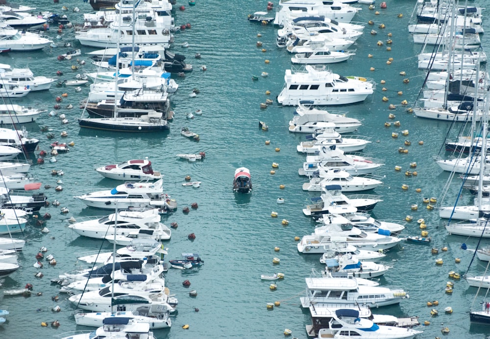 white boats on dock during daytime