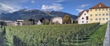 A picturesque vineyard stretches across the foreground, lush with rows of green grapevines. In the background, charming houses with traditional architecture can be seen. Beyond the houses, a range of majestic mountains rises, partially covered in snow, under a sky spotted with clouds.