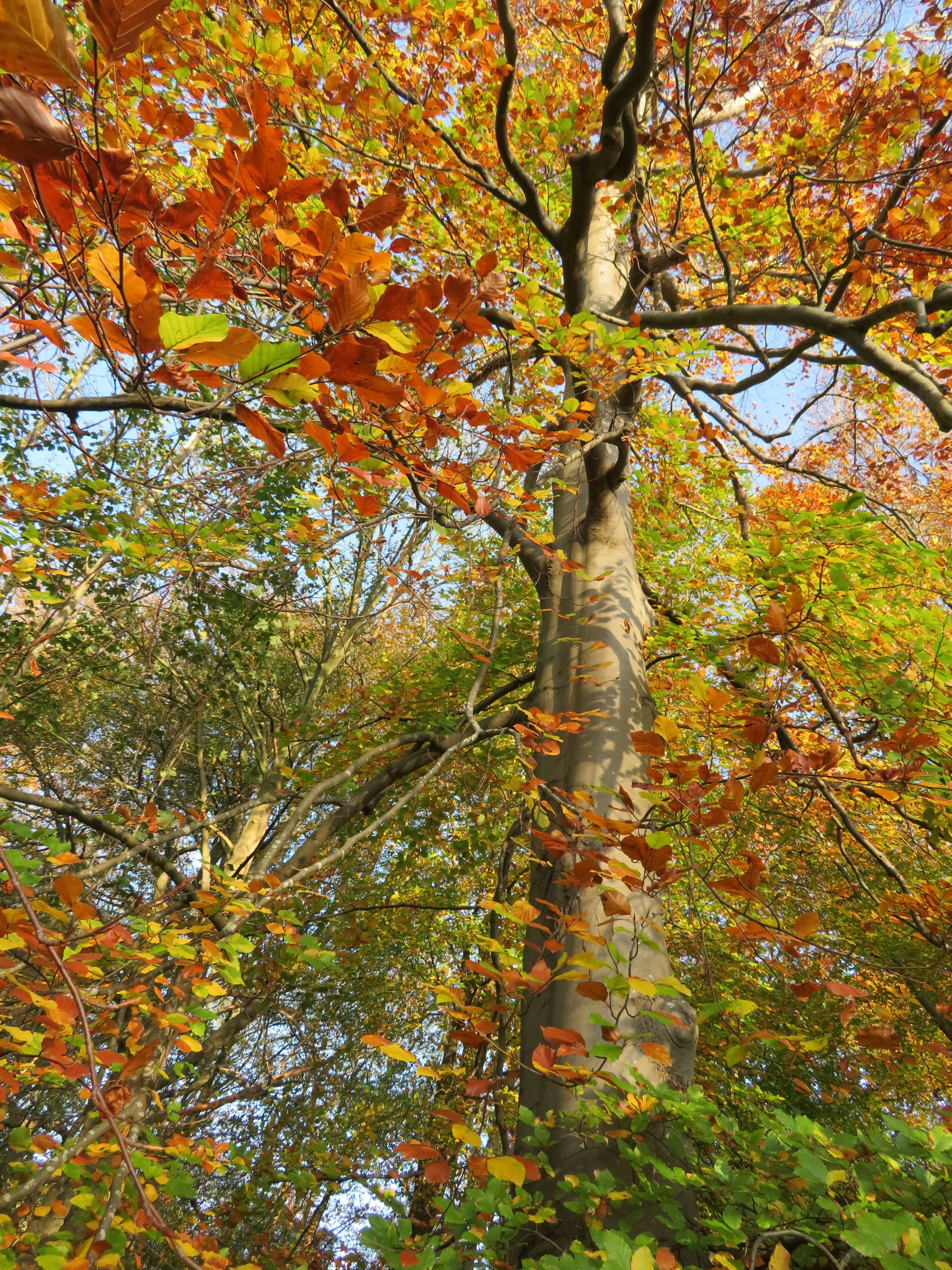 Photo by isabeltenbosch