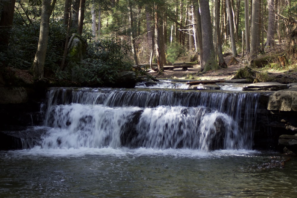 water falls in the forest