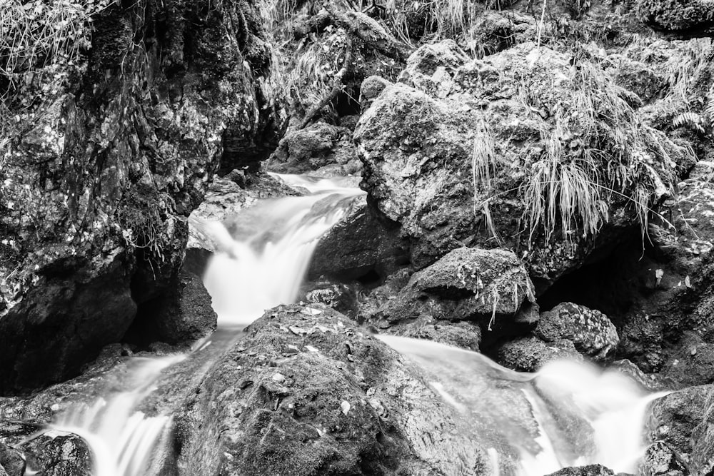 grayscale photo of river between rocks and trees