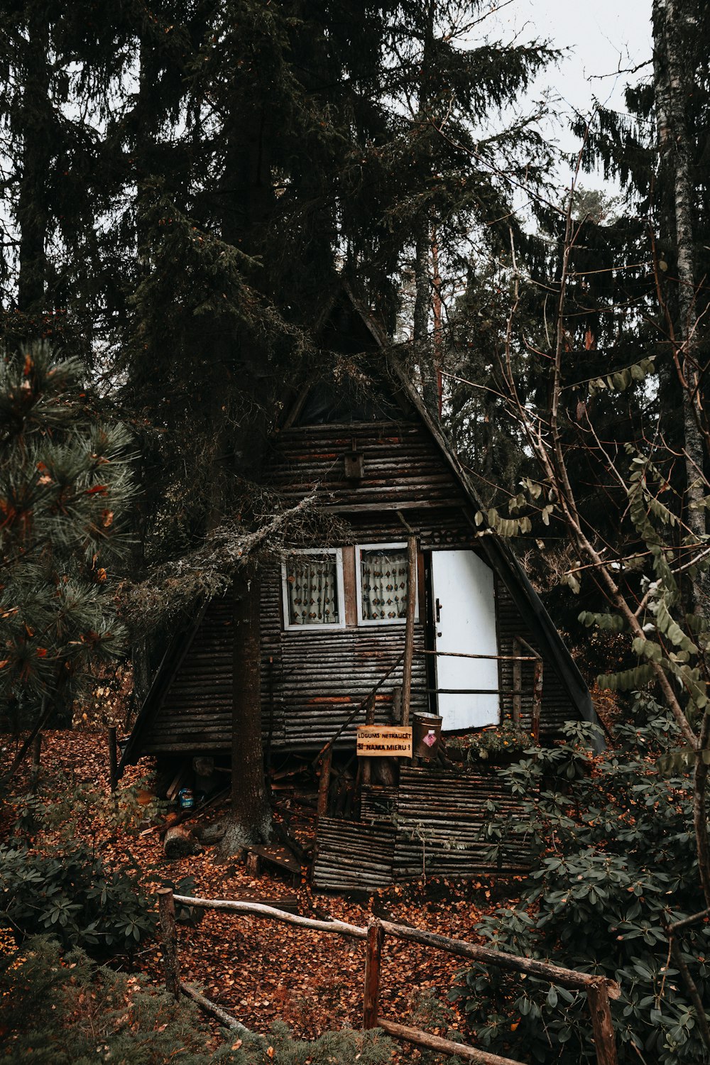 white and brown wooden house surrounded by trees