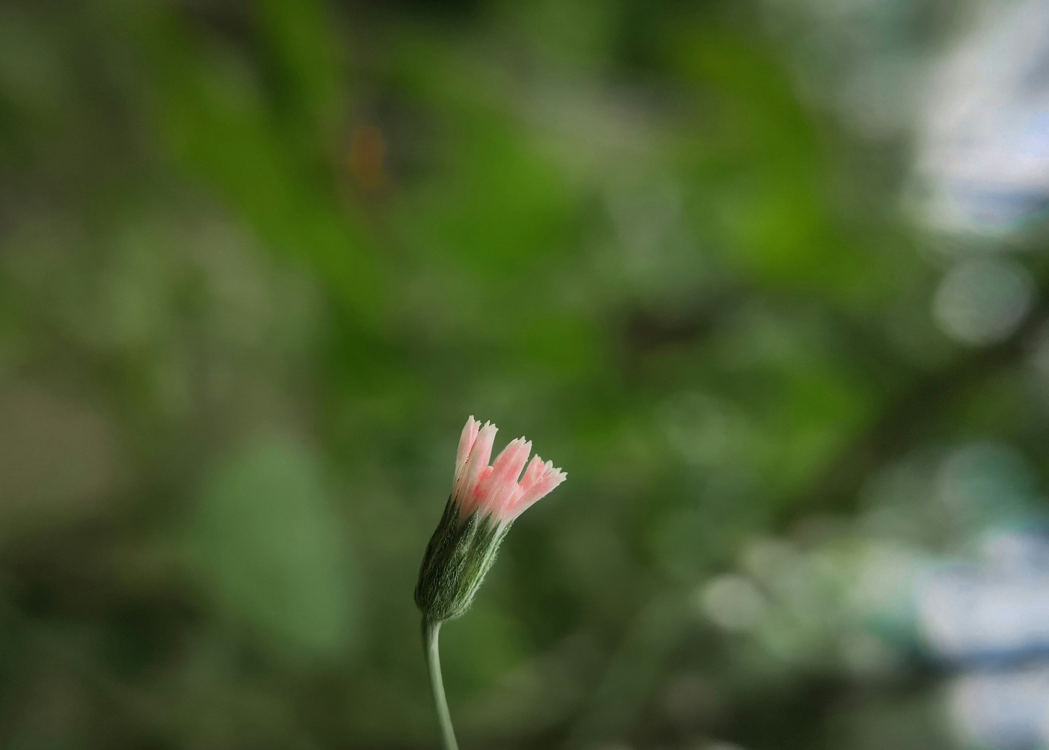 Photo by shekhar8018