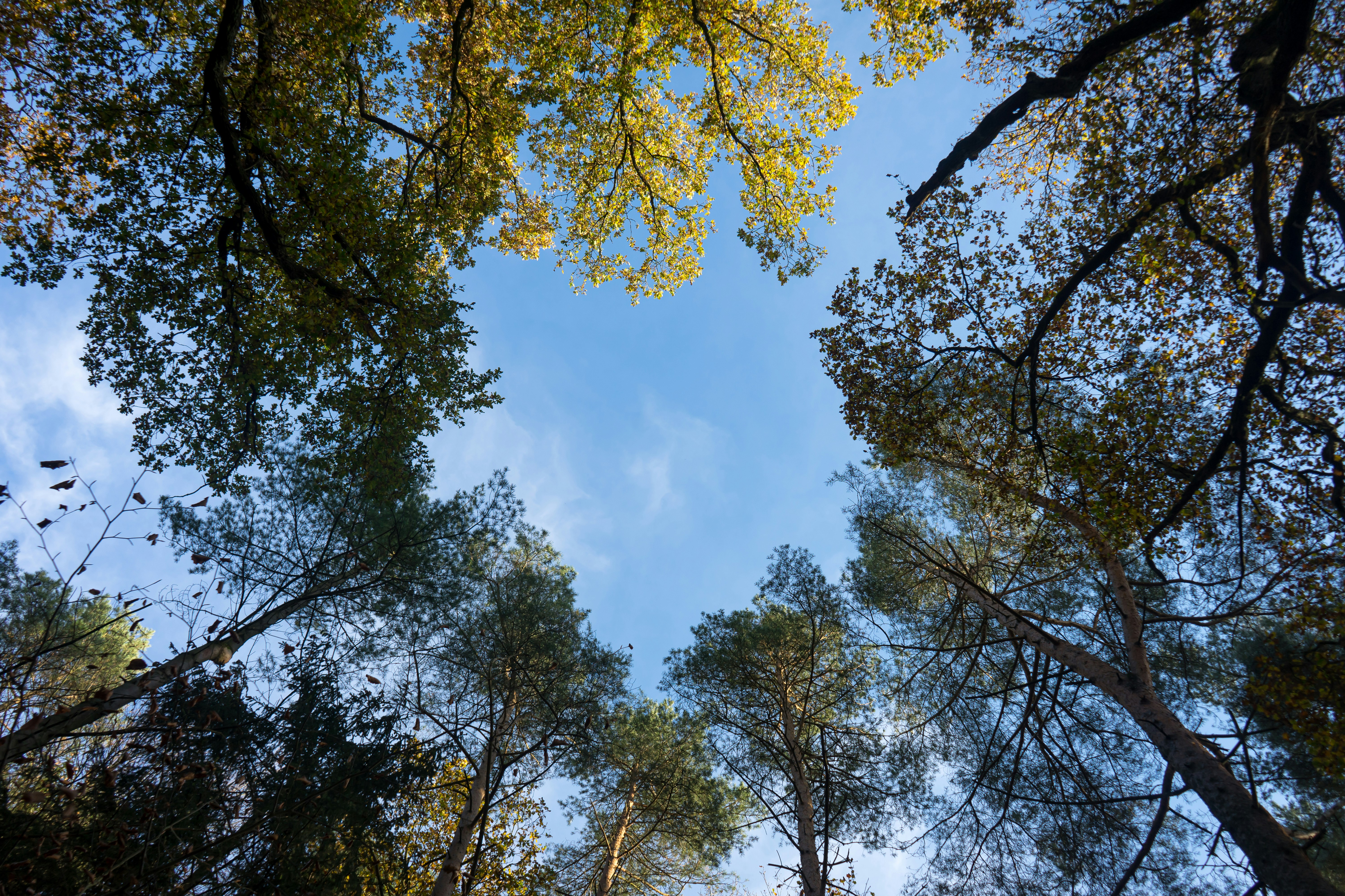 Photo by moinundmeer