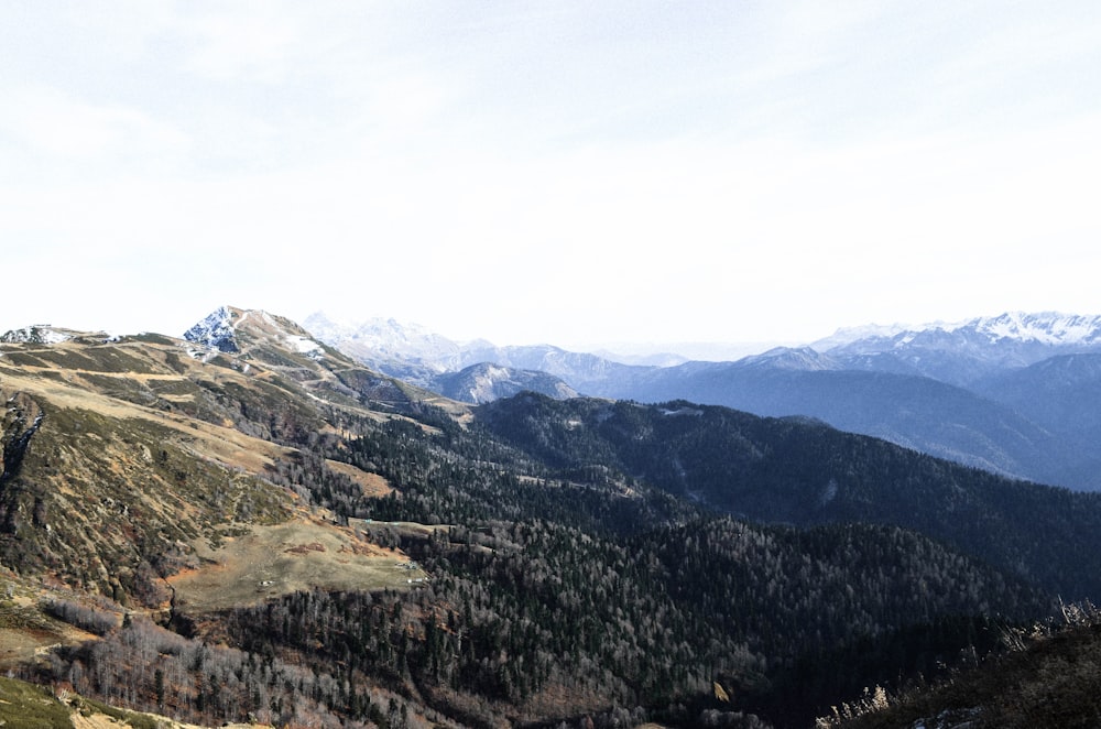 green and brown mountains under white sky during daytime