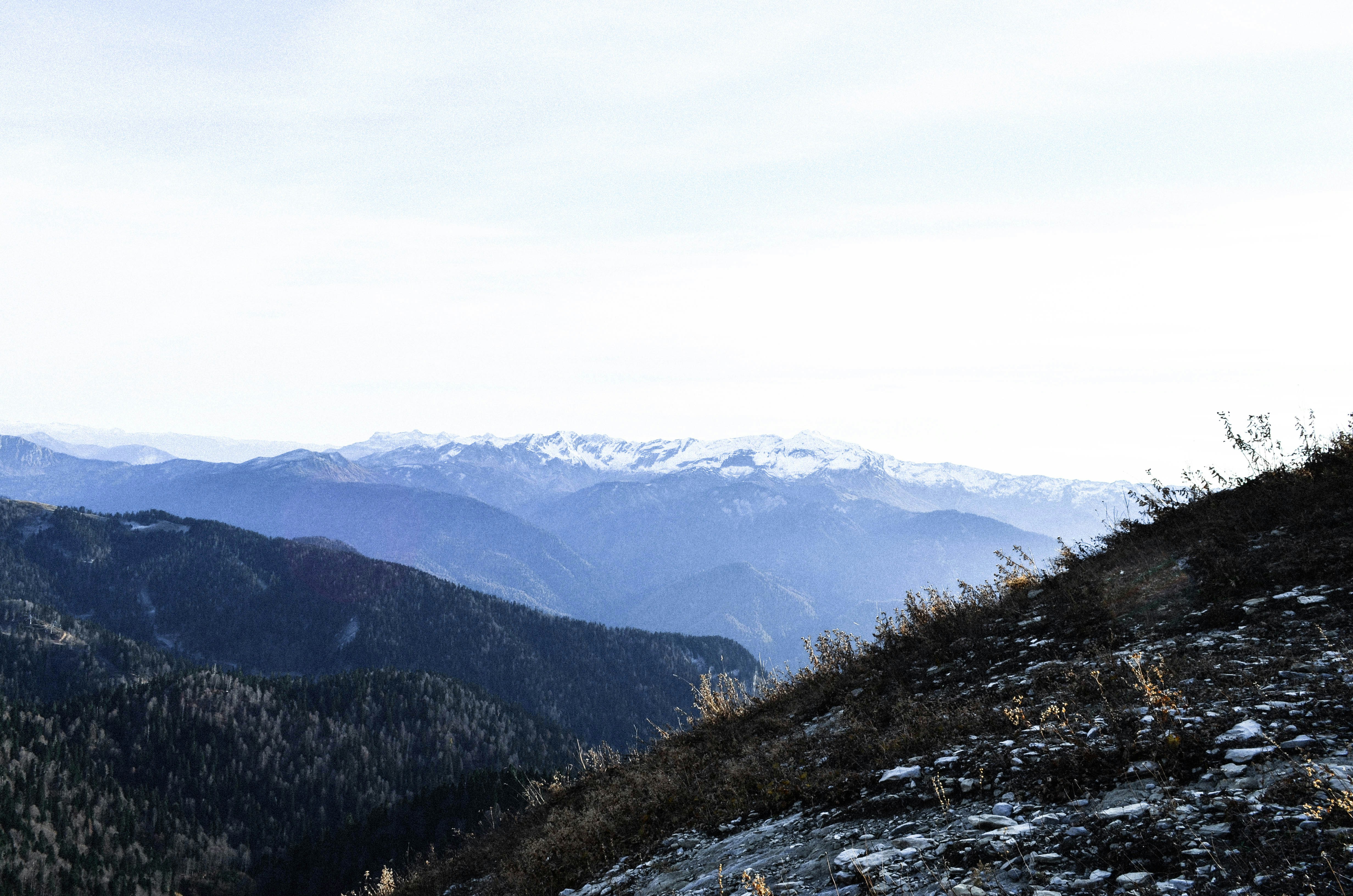 Photo by zhen6shen6ka