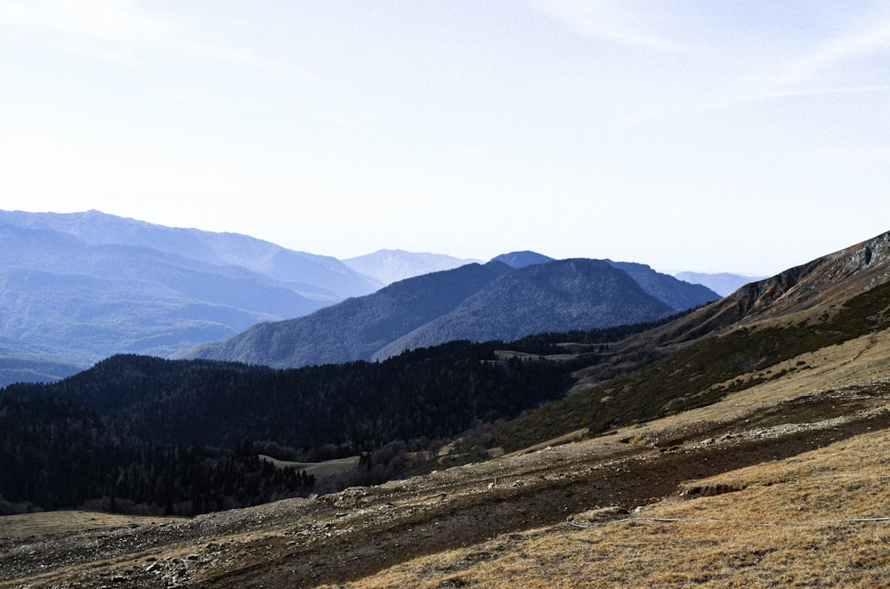 green and brown mountains under white sky during daytime