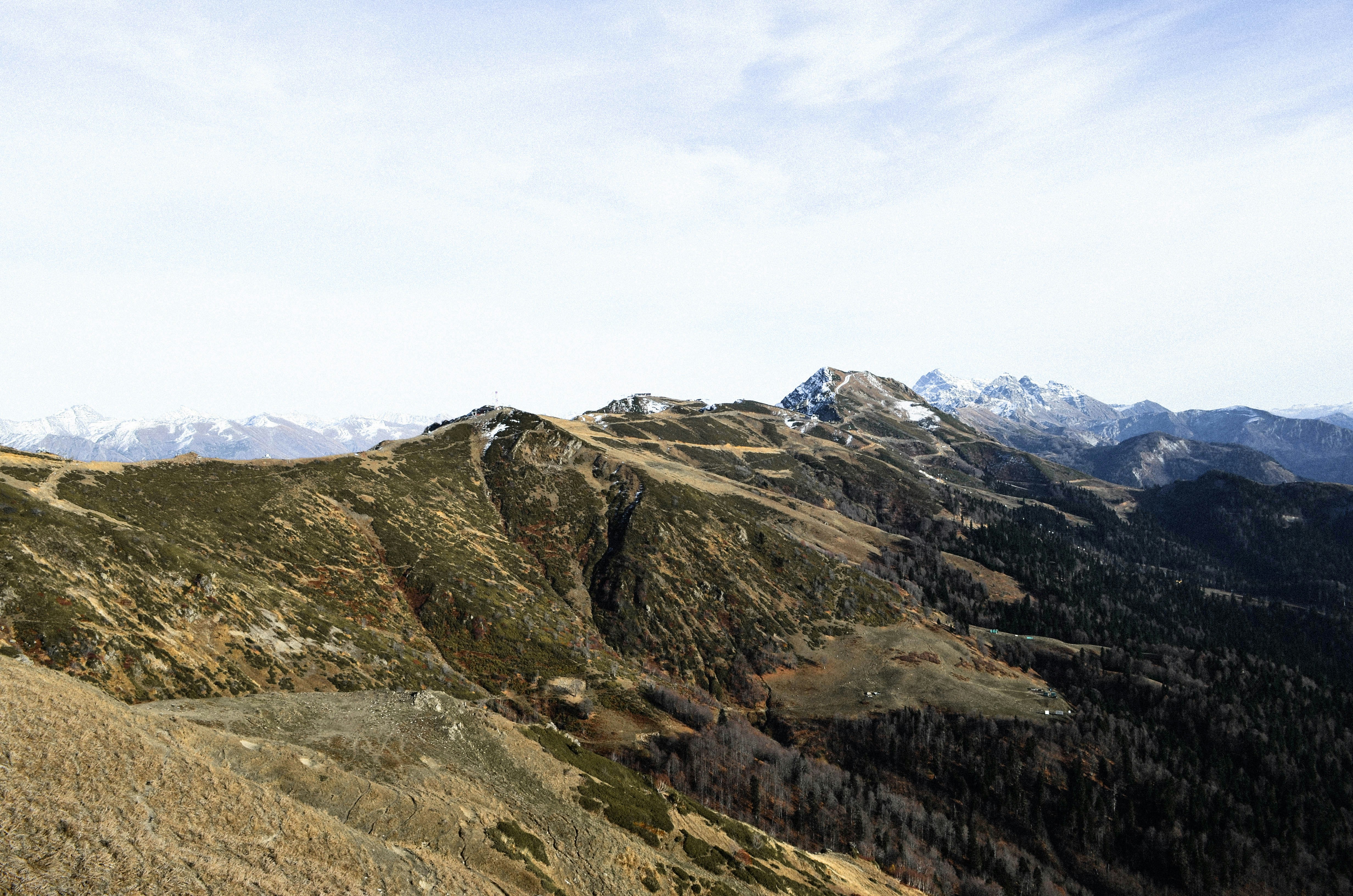 Photo by zhen6shen6ka