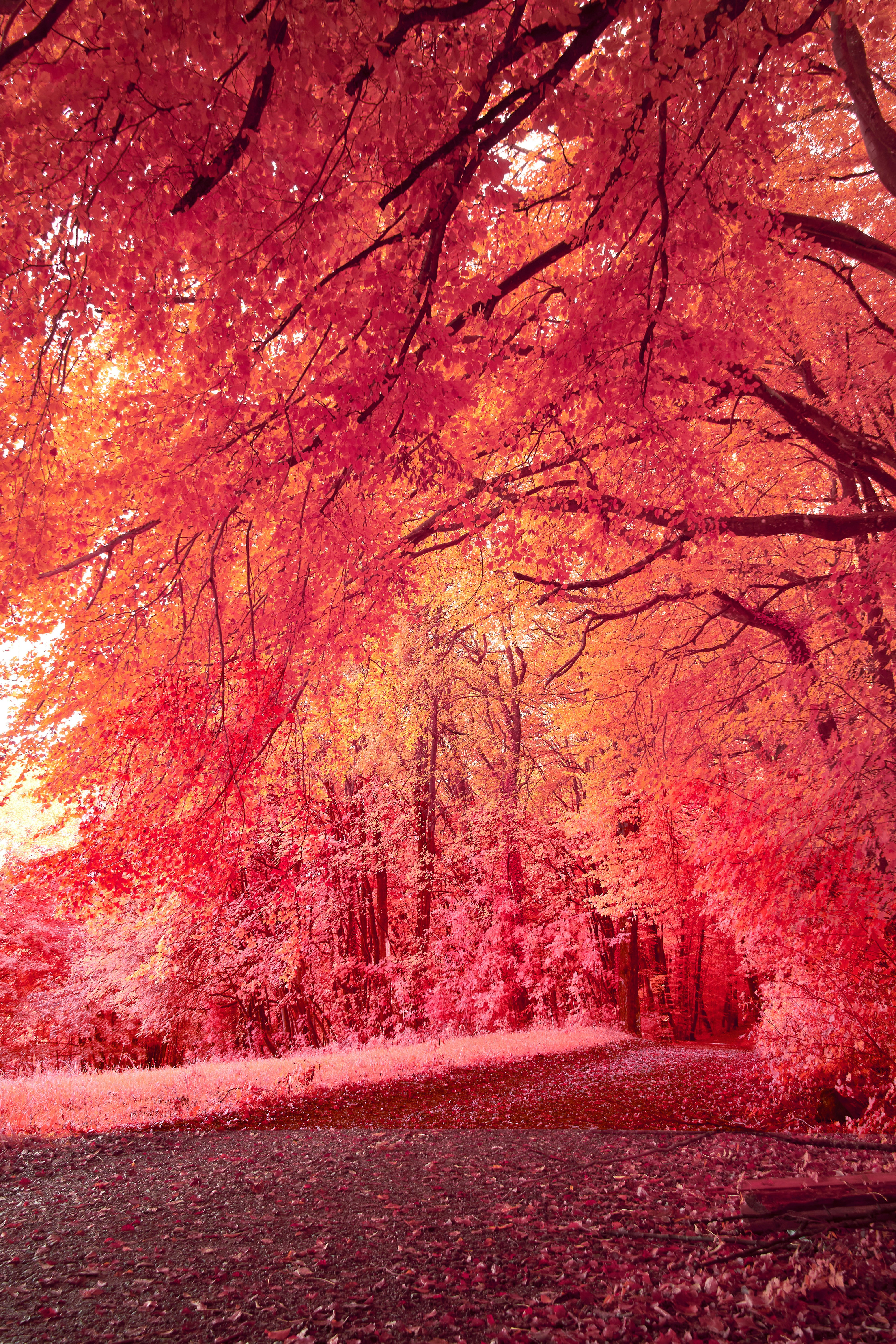 photo-1605460095069-6d4fd91ef66a?q=80&w=2487&auto=format&fit=crop&ixlib=rb-4.0.3&ixid=M3wxMjA3fDB8MHxwaG90by1wYWdlfHx8fGVufDB8fHx8fA%3D%3D