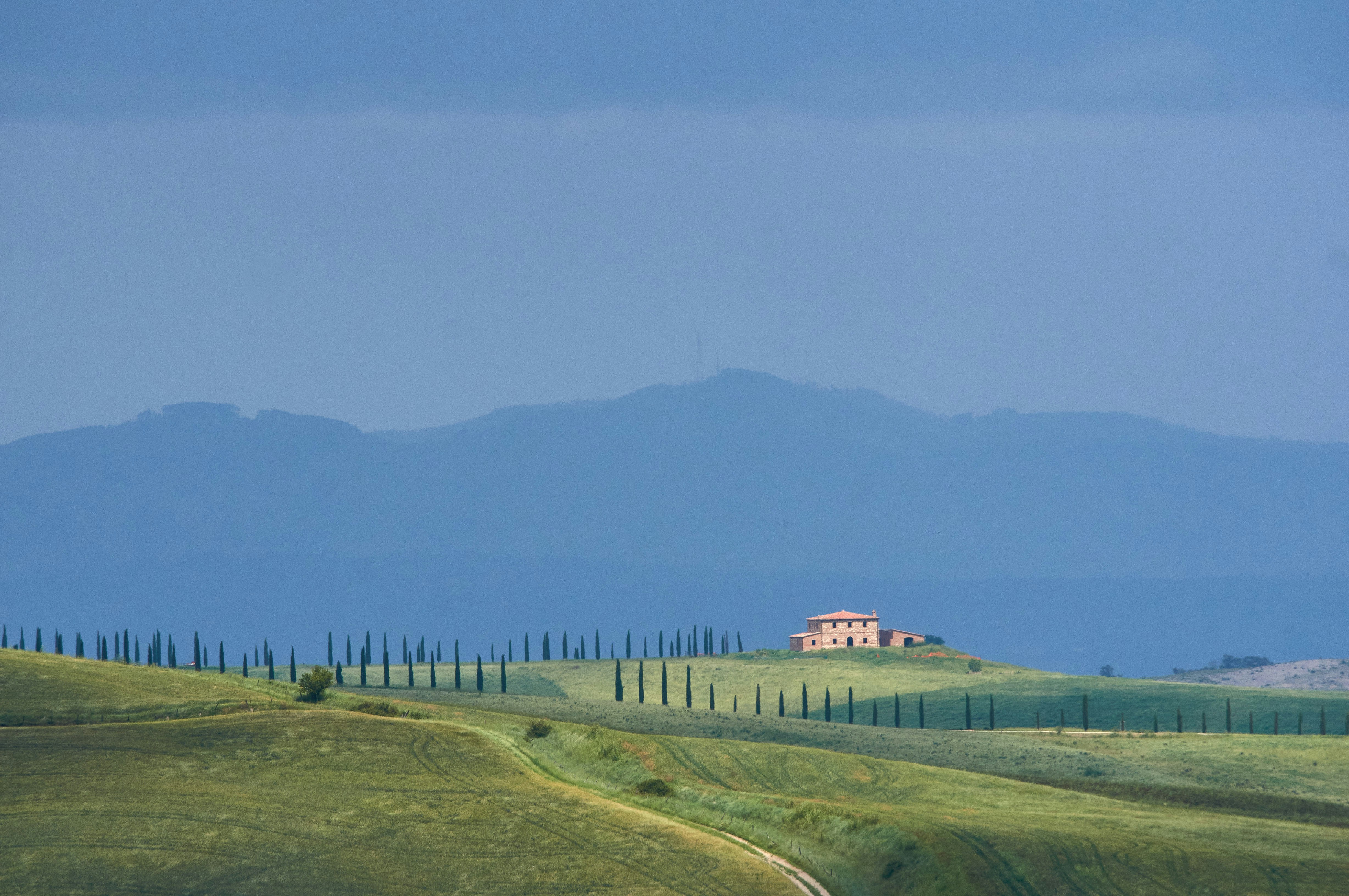 Photo by wolfgang_hasselmann