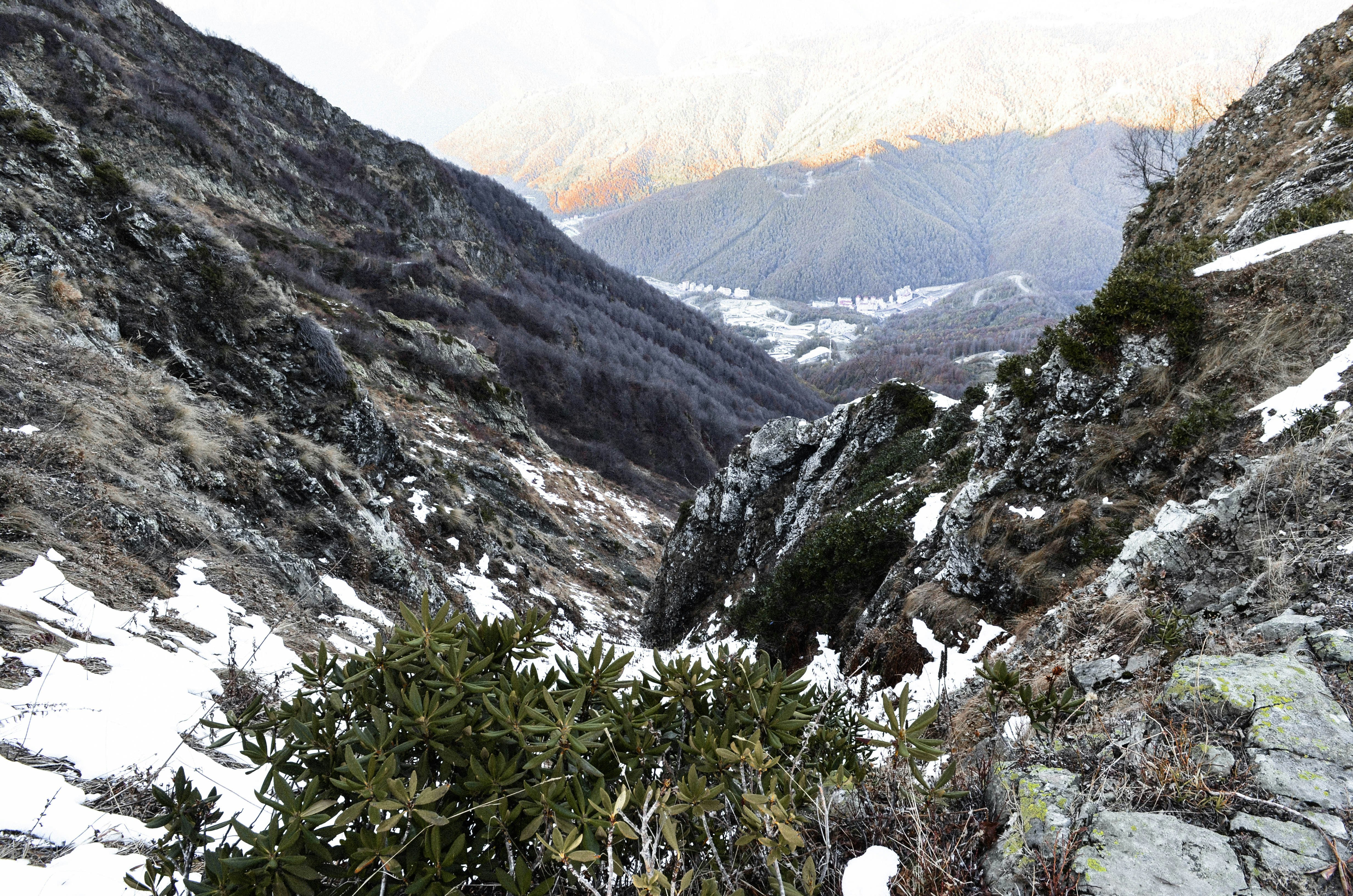 green and brown mountains during daytime