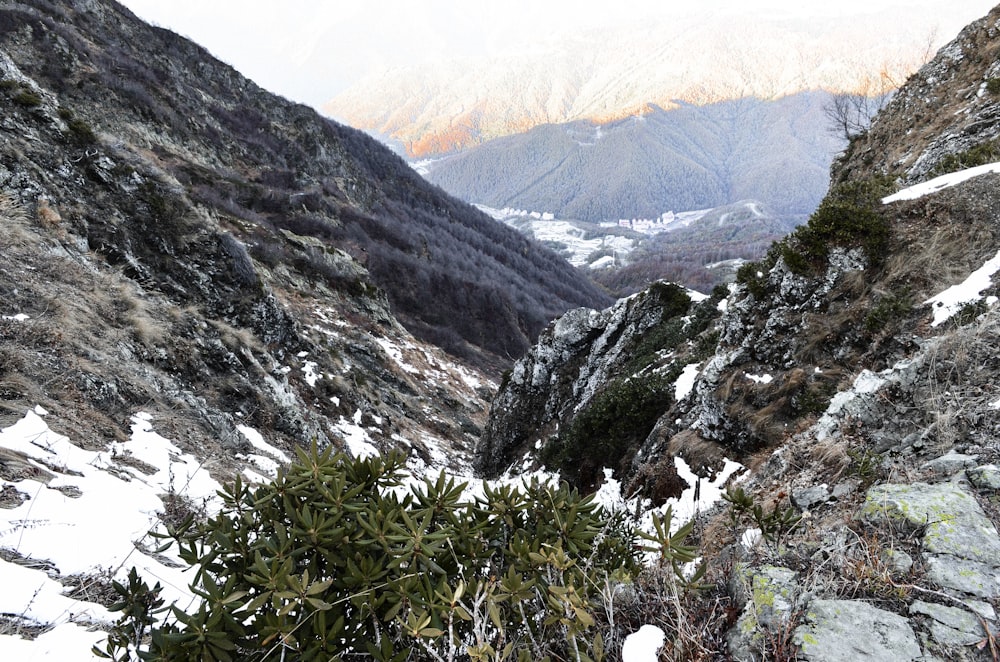 green and brown mountains during daytime