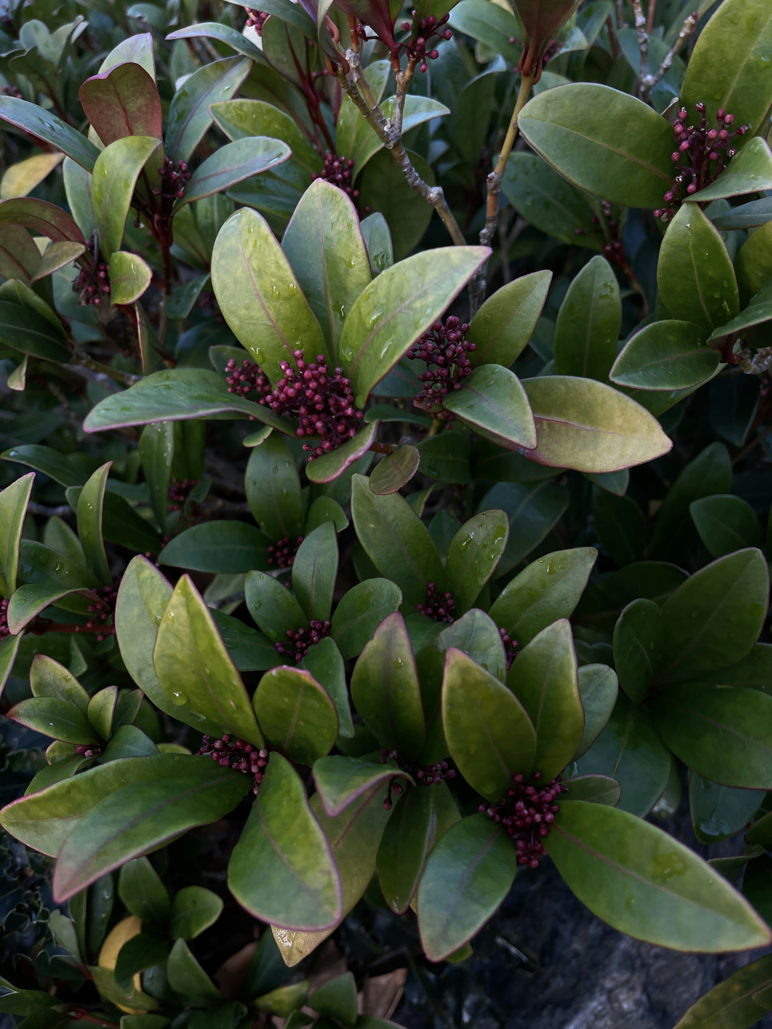 Photo by dakotat2801