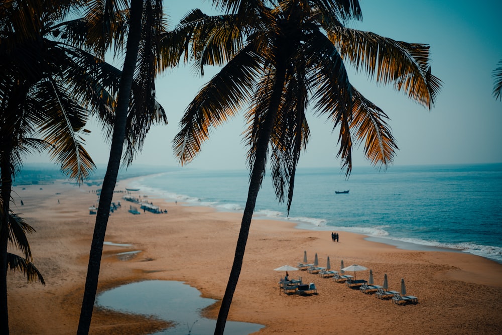 people on beach during daytime