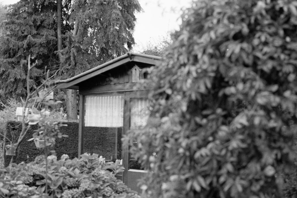 Graustufenfoto eines Holzhauses umgeben von Bäumen