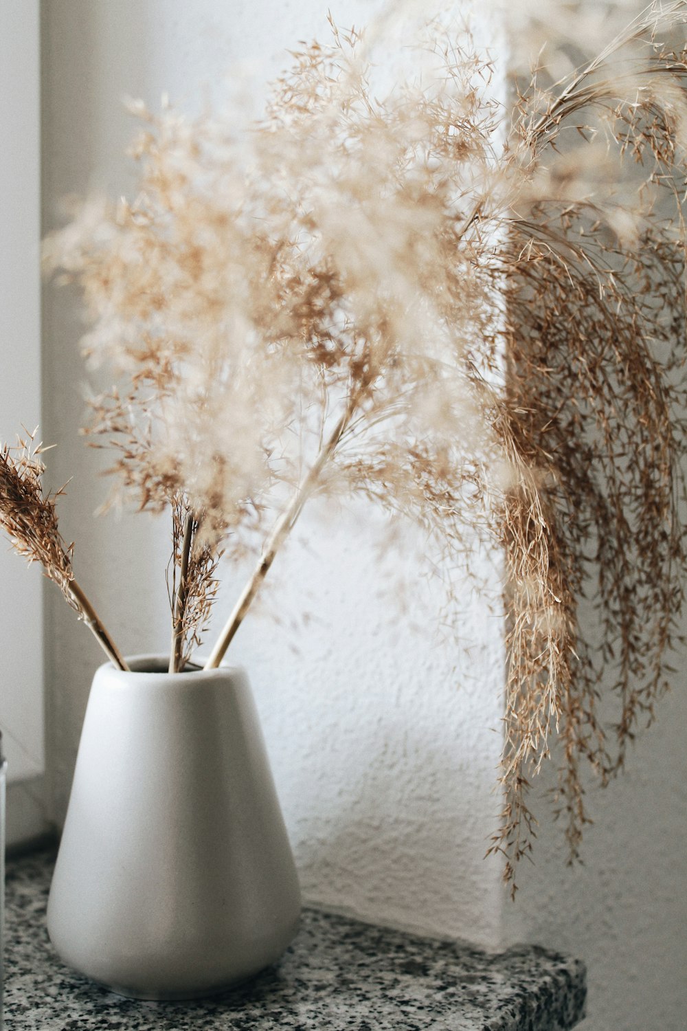 brown plant in white ceramic vase