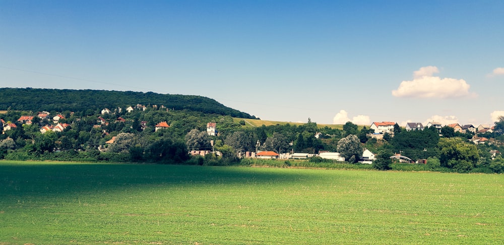 green grass field near green trees and mountain during daytime