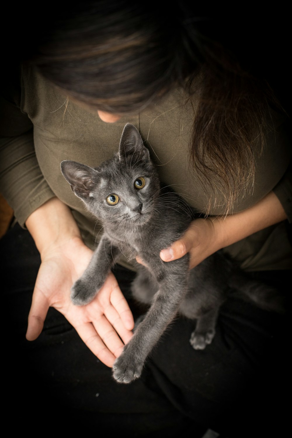 person holding black cat on brown leather couch
