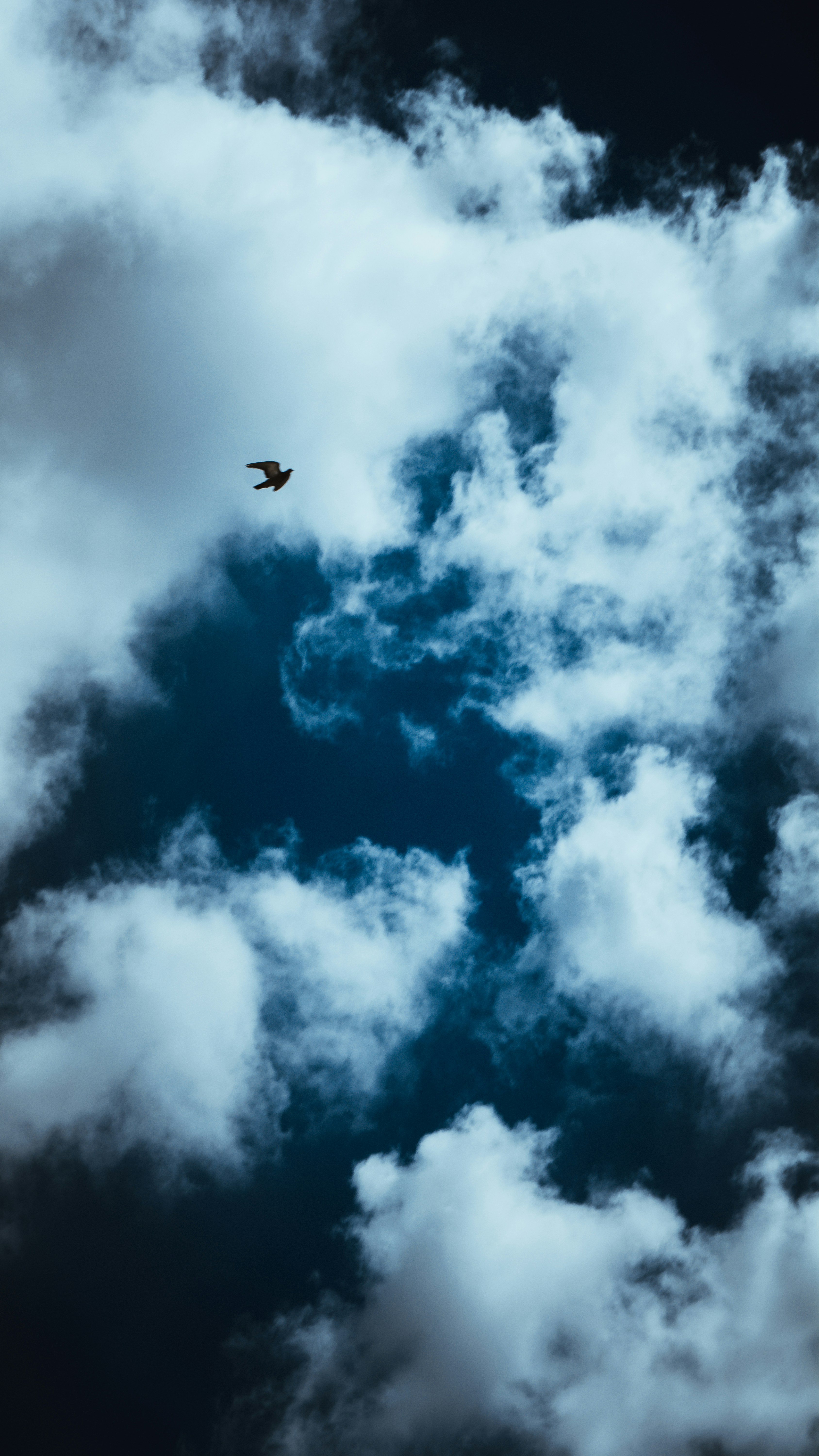 Photo by thefinalshot