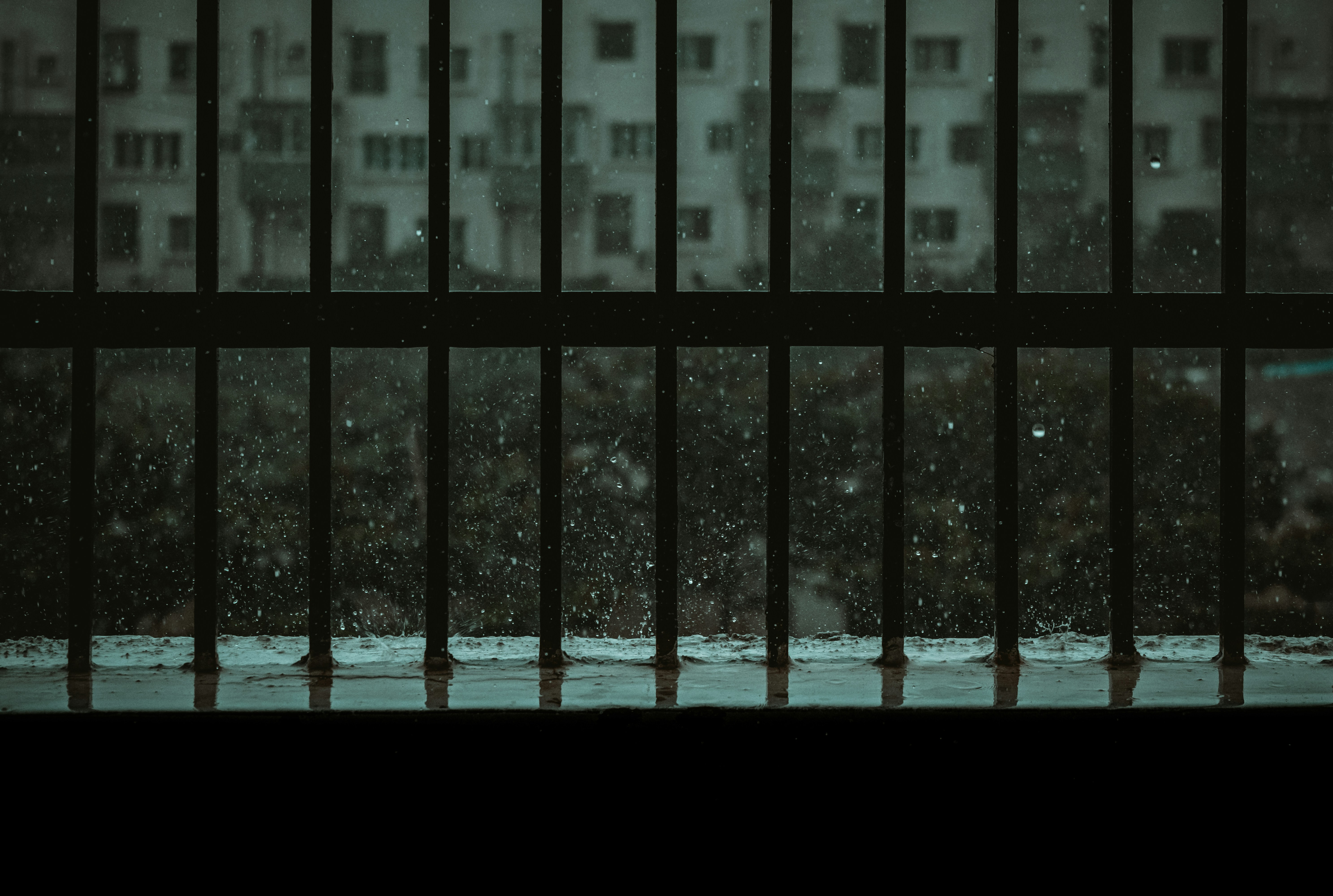 Photo by thefinalshot