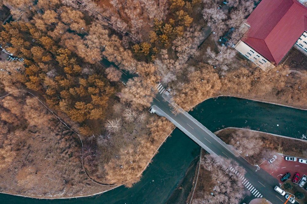 birds eye view of a city