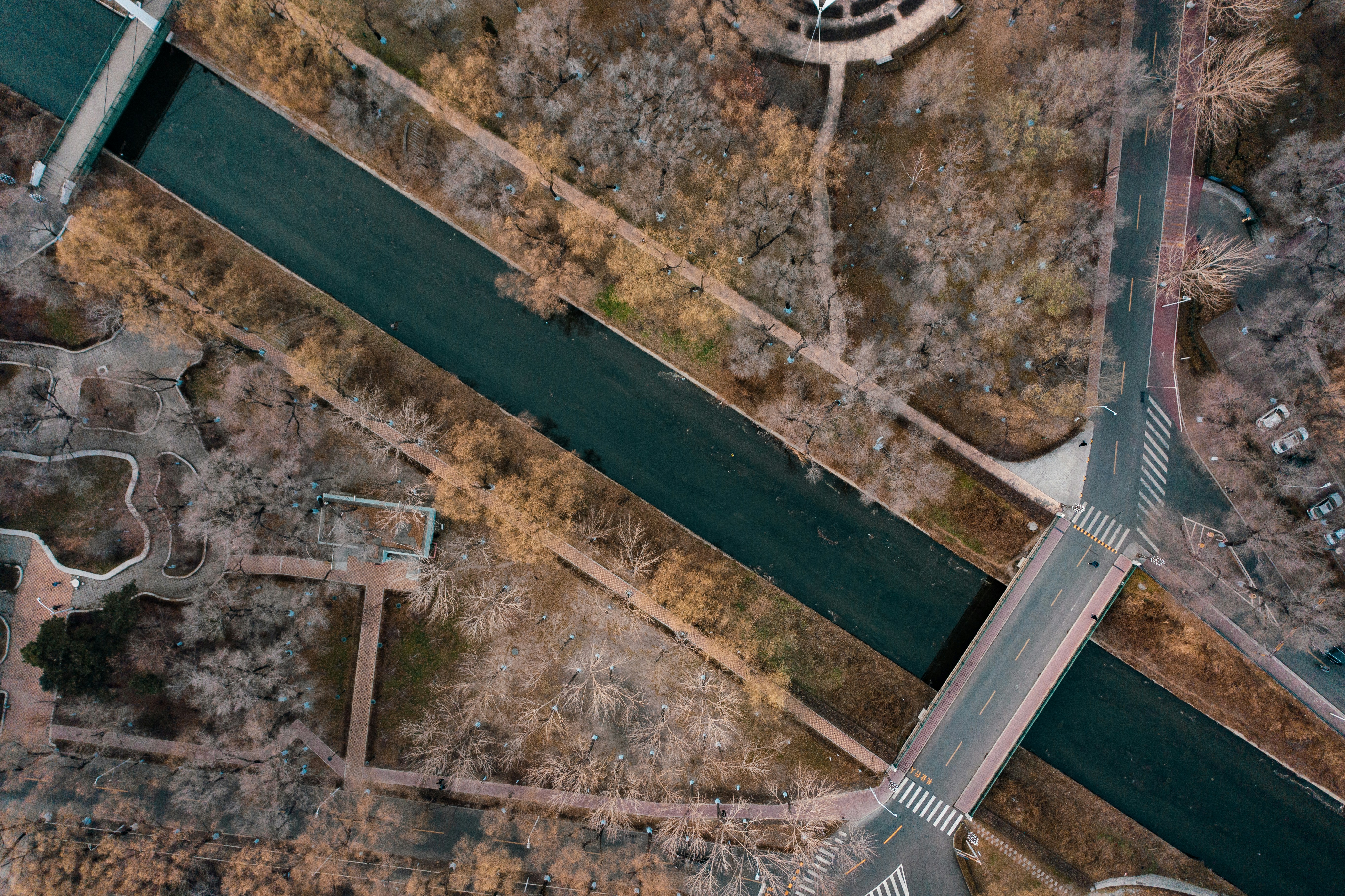 Photo by aserusainhuu