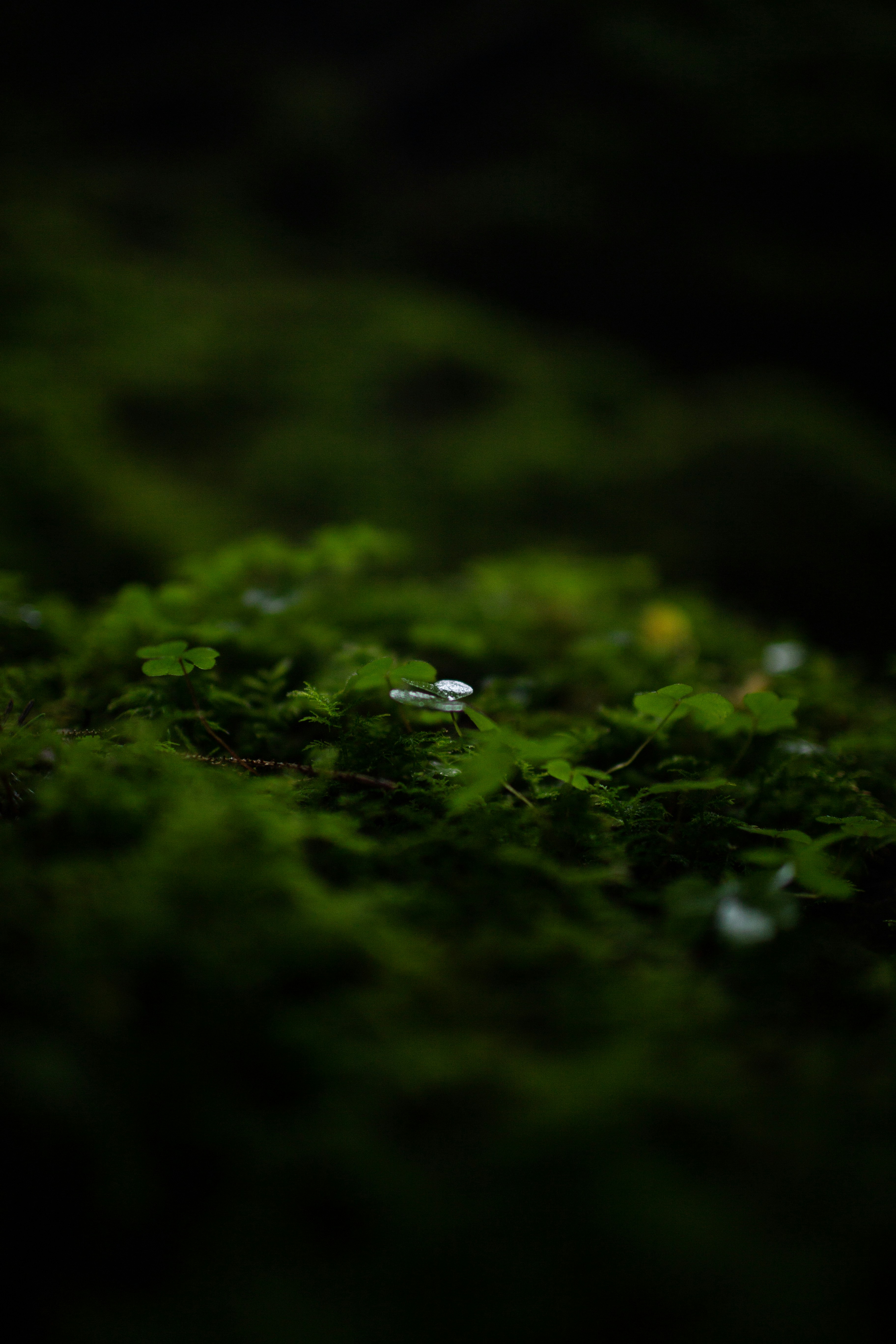 Photo by benjamin_deyoung