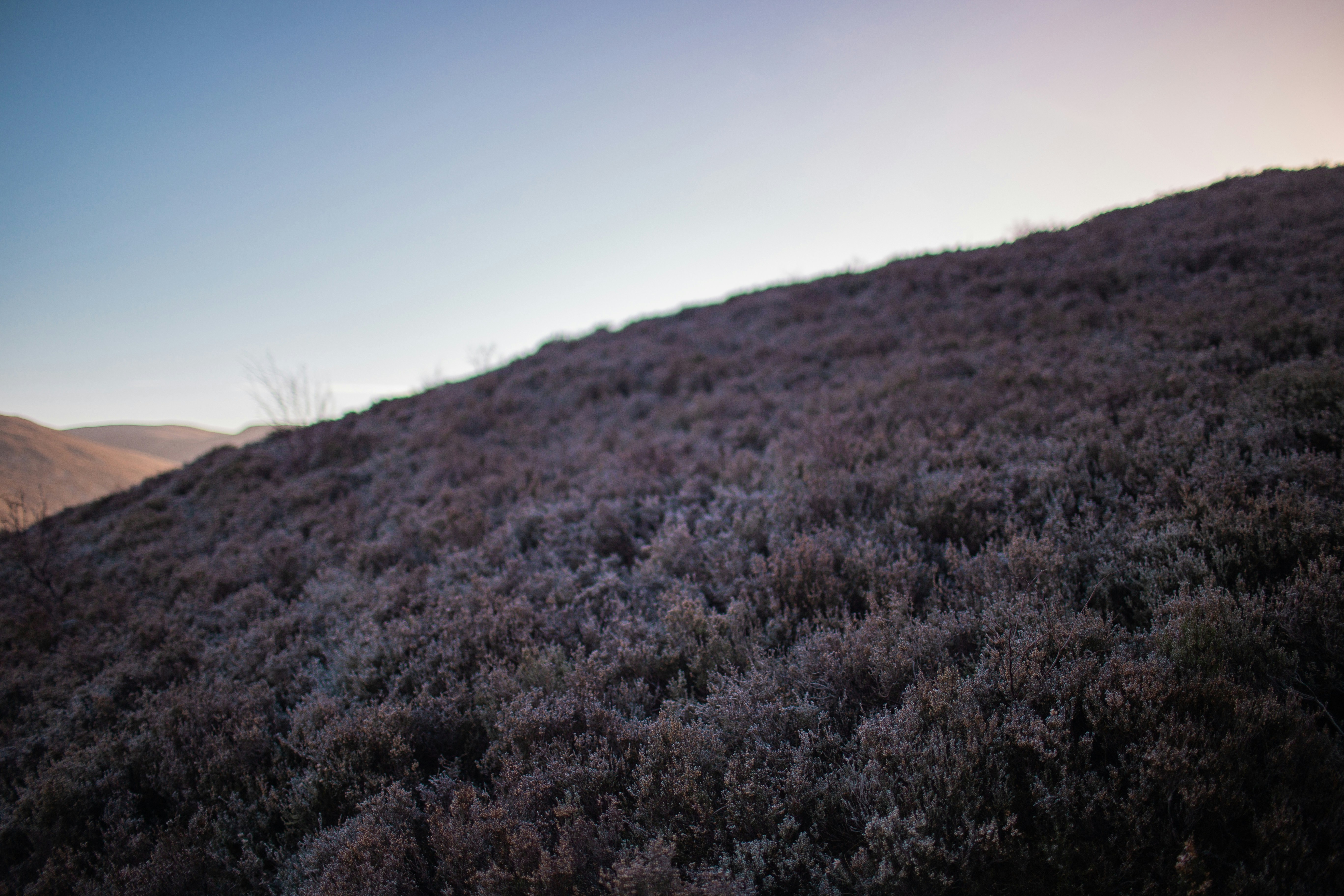 Photo by benjamin_deyoung