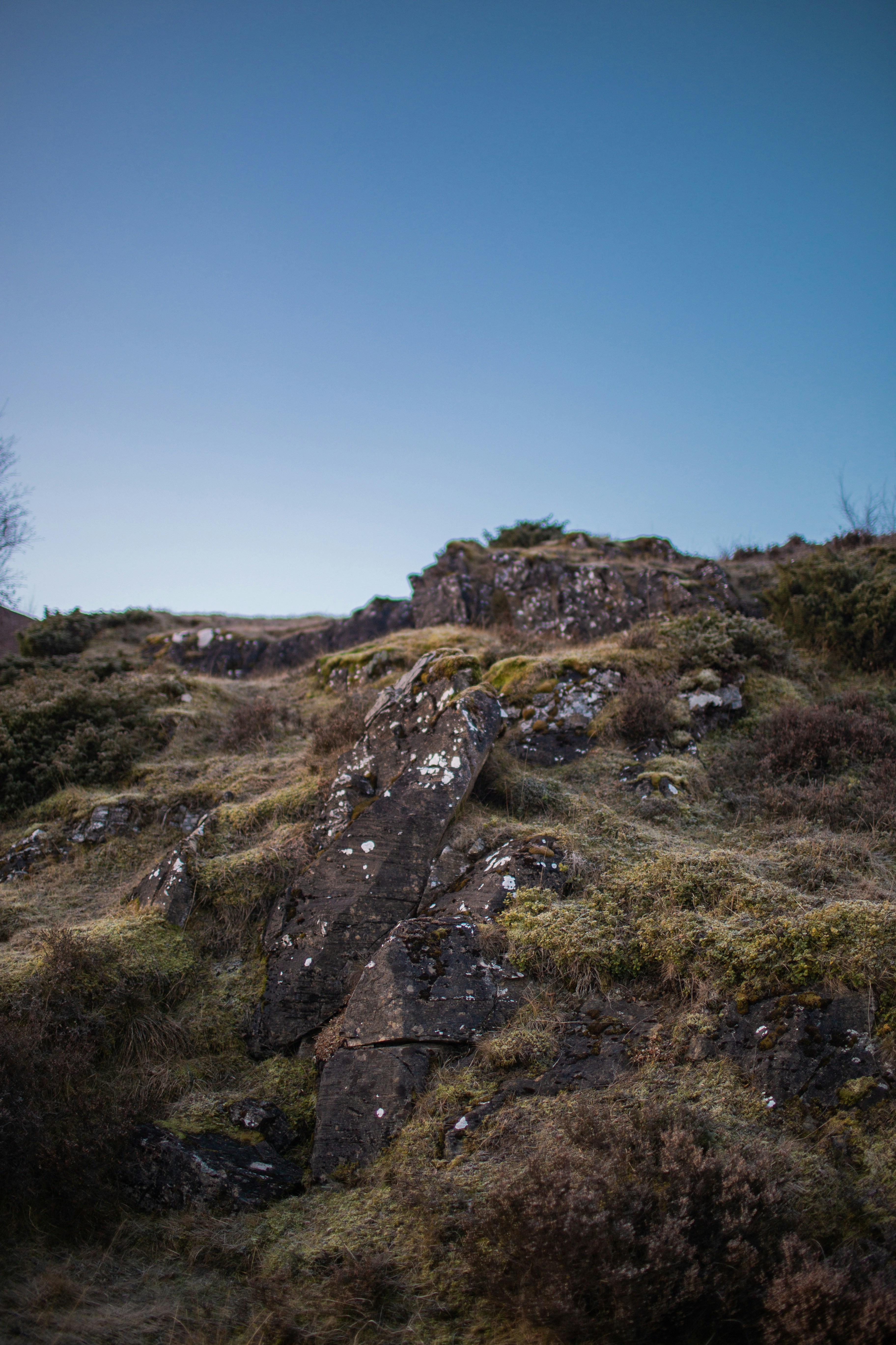 Photo by benjamin_deyoung