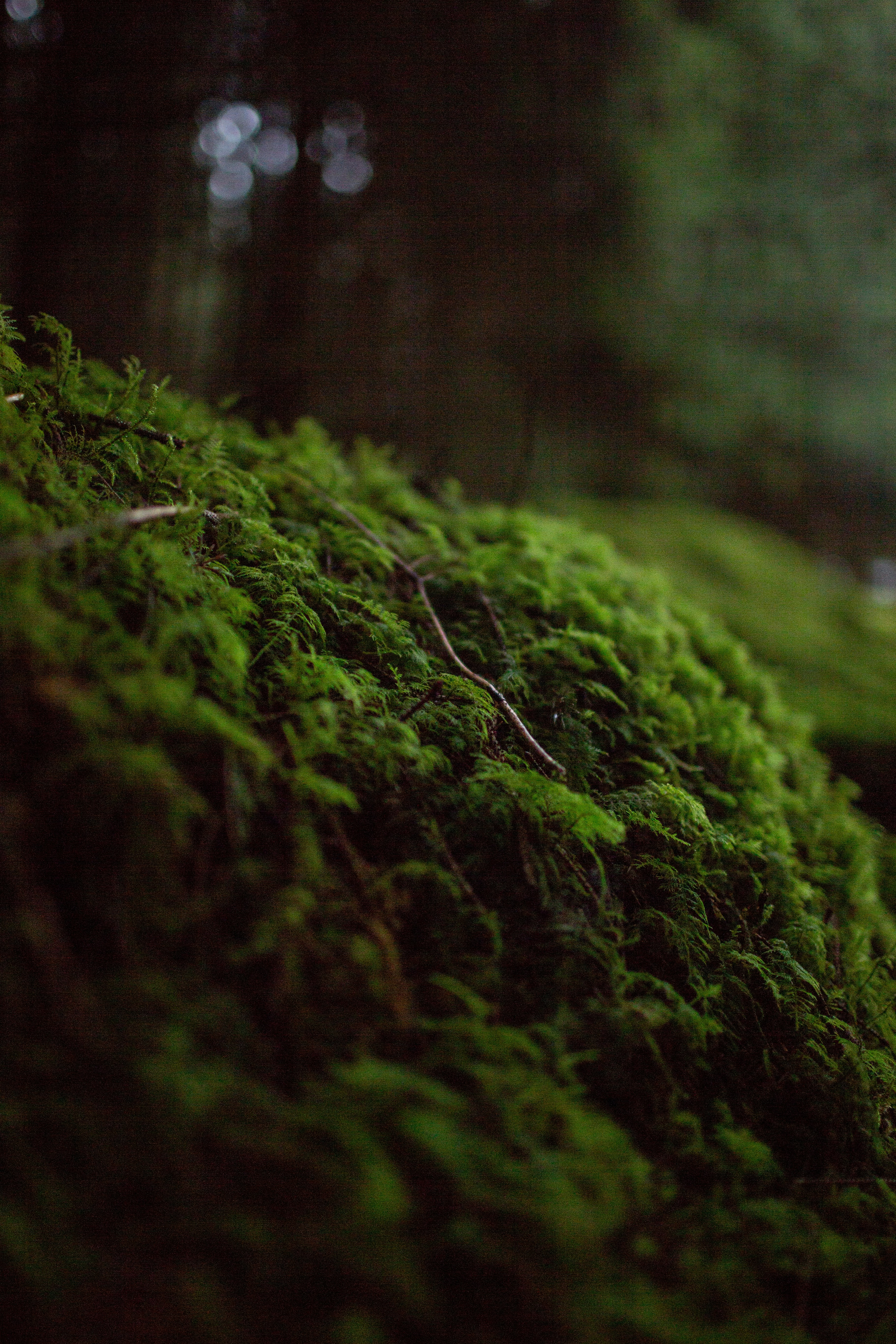 Photo by benjamin_deyoung