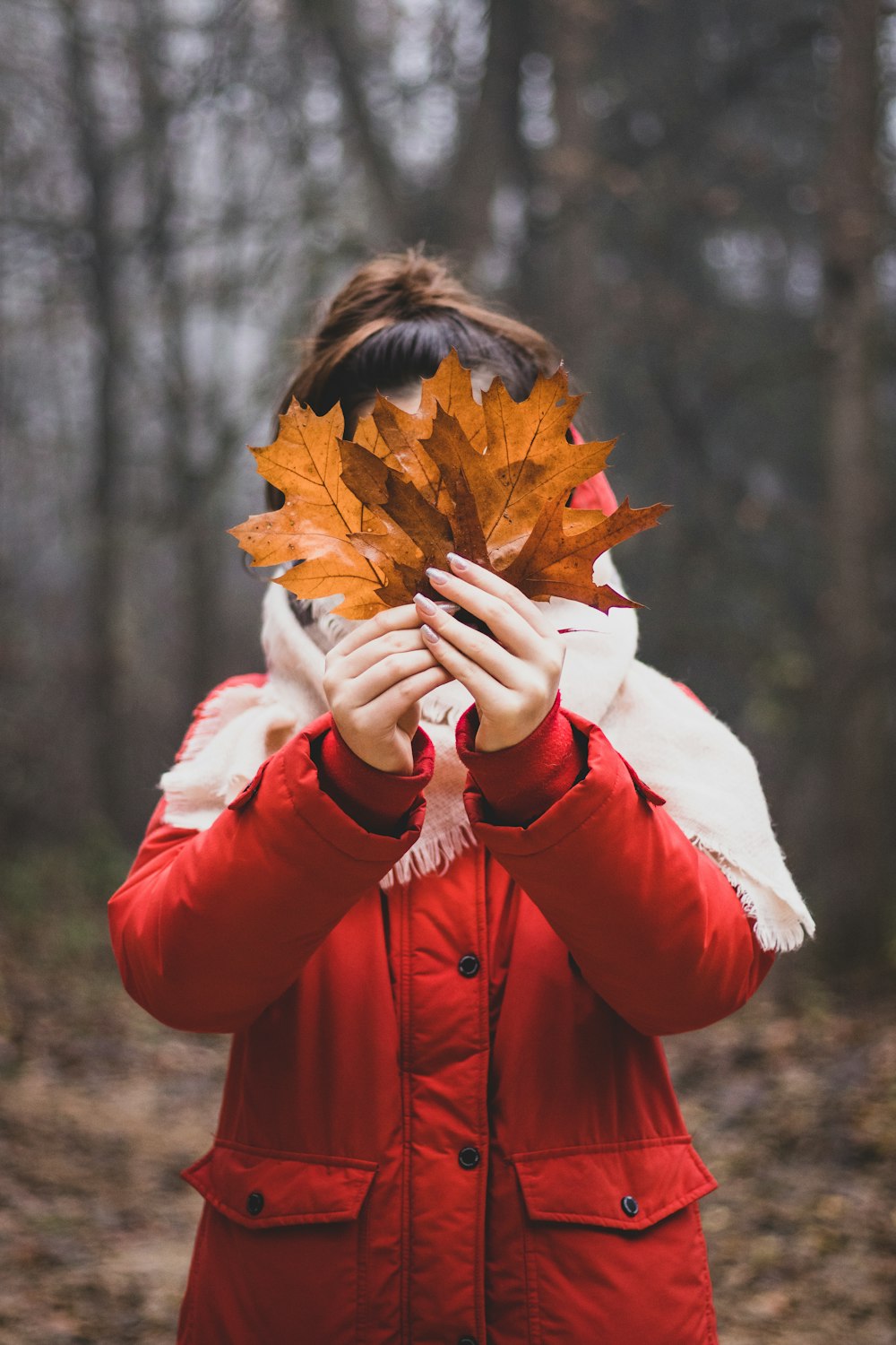 woman in red jacket holding brown maple leaf