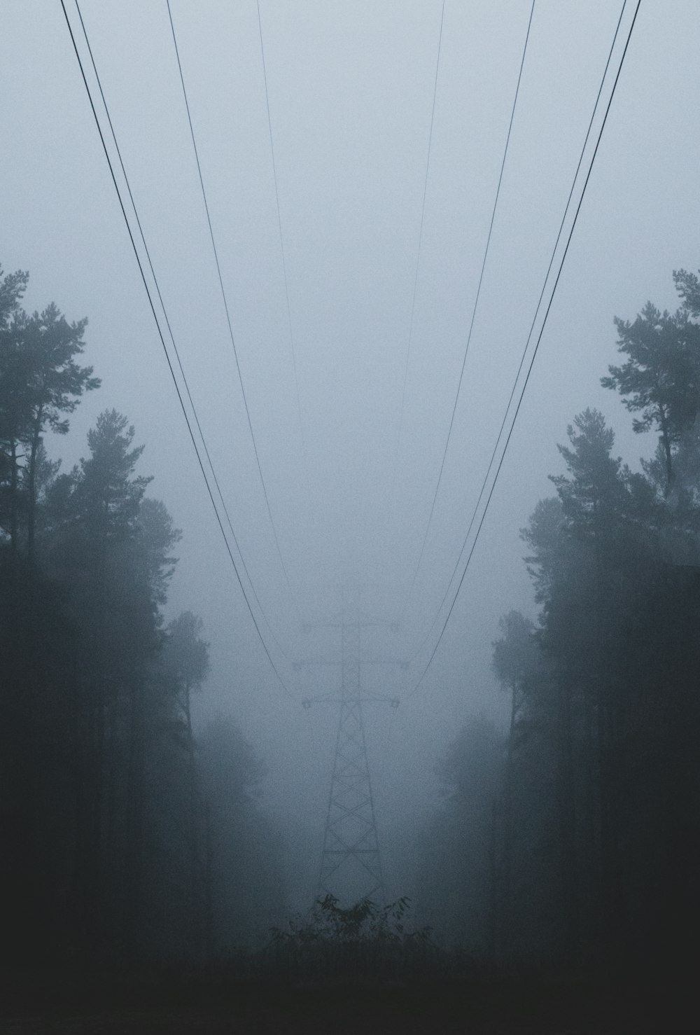 black cable wire over green trees during daytime